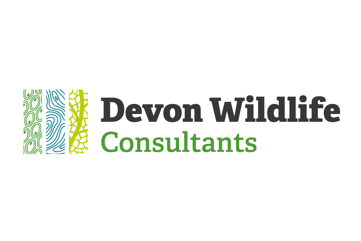 Devon Wildlife Consultants