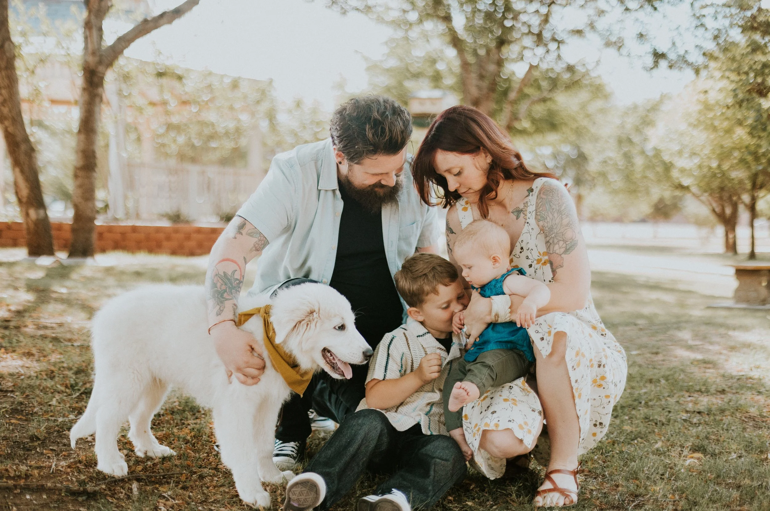 A family of five with a dog sitting on the grass in a park, all looking down at a small child. The scene is bright and sunny with trees in the background.