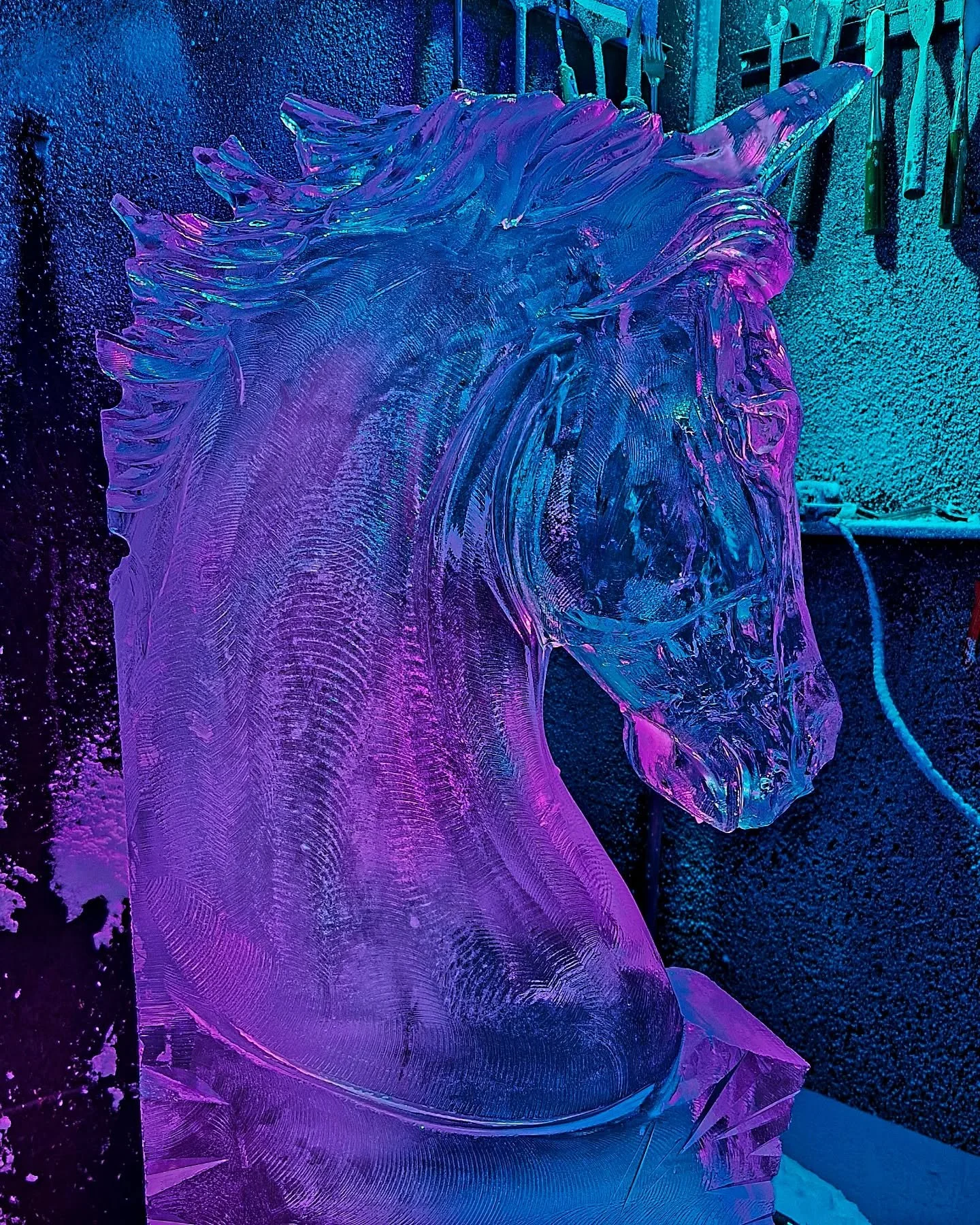 Horse #iceluge ##icesculpture in the freezer today