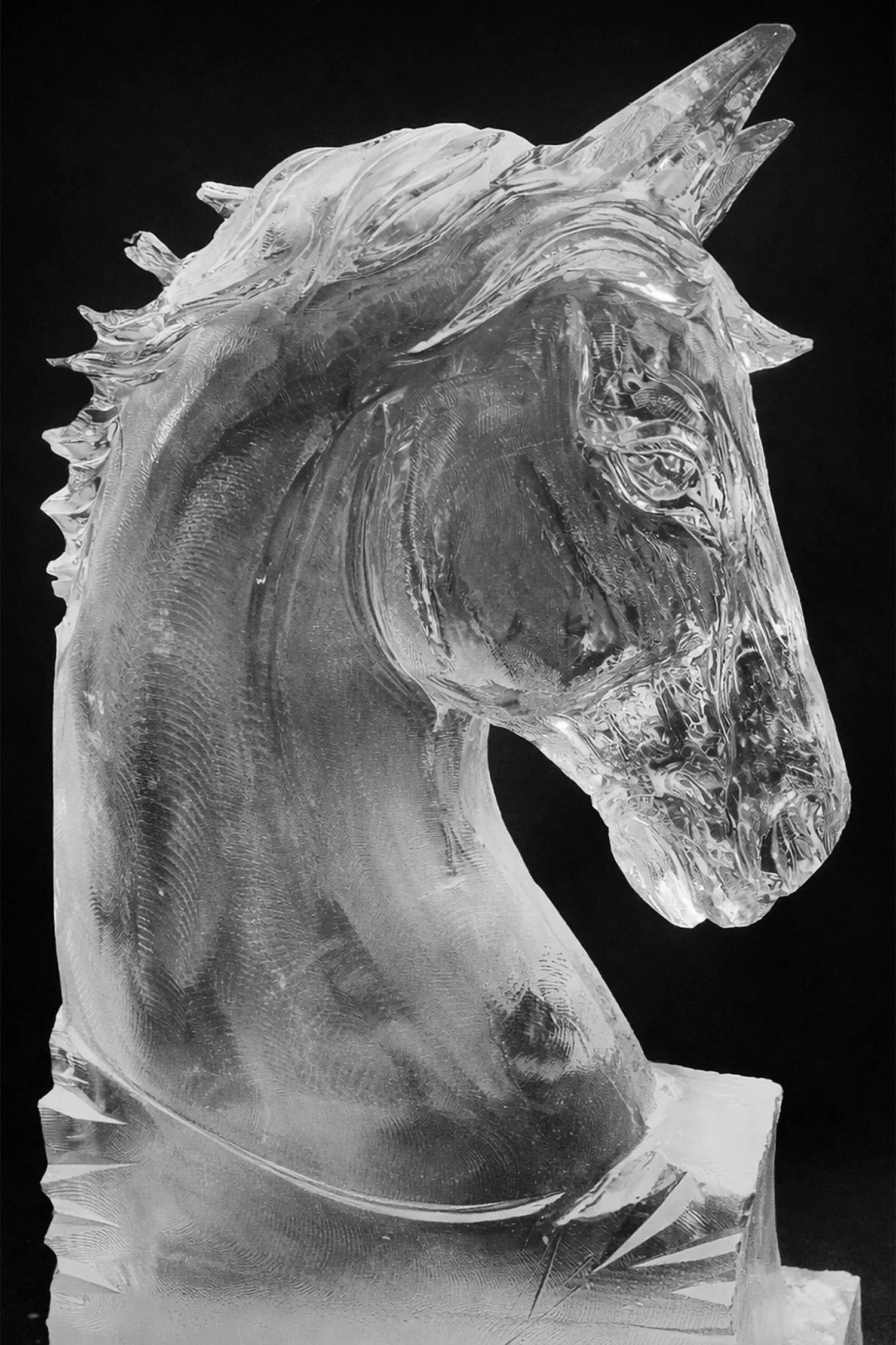 custom-ice-sculpture-horse-head-luge.jpg