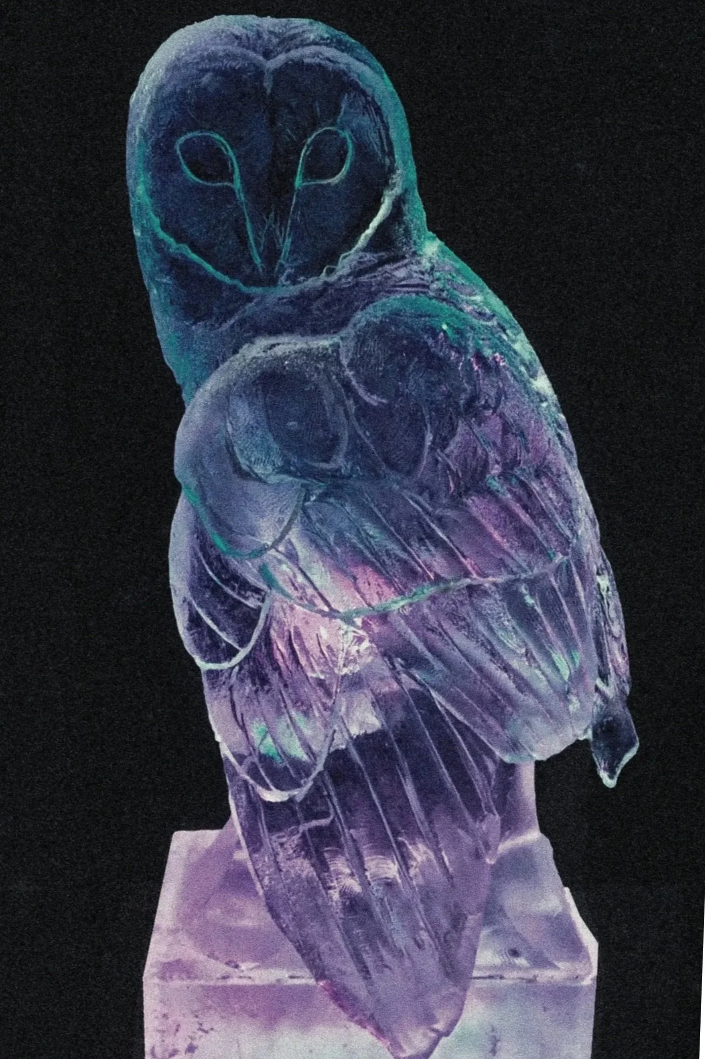 custom-barn-owl-ice-sculpture-realistic.jpg