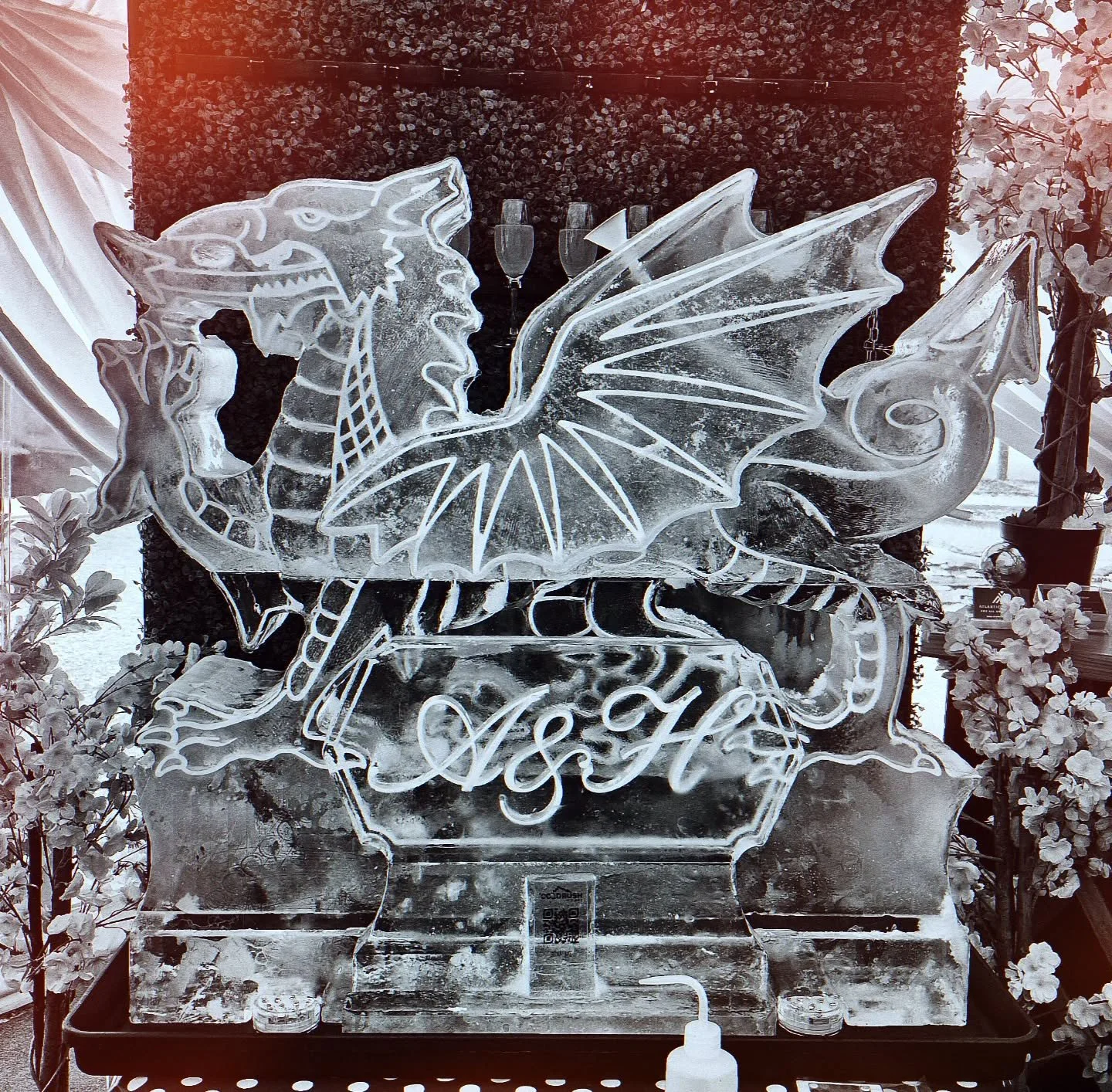 Here's a nice #welshdragon #vodkaluge from last years #weddingseason 

Looking forward to seeing what this year brings 

#icesculptures #walesuk