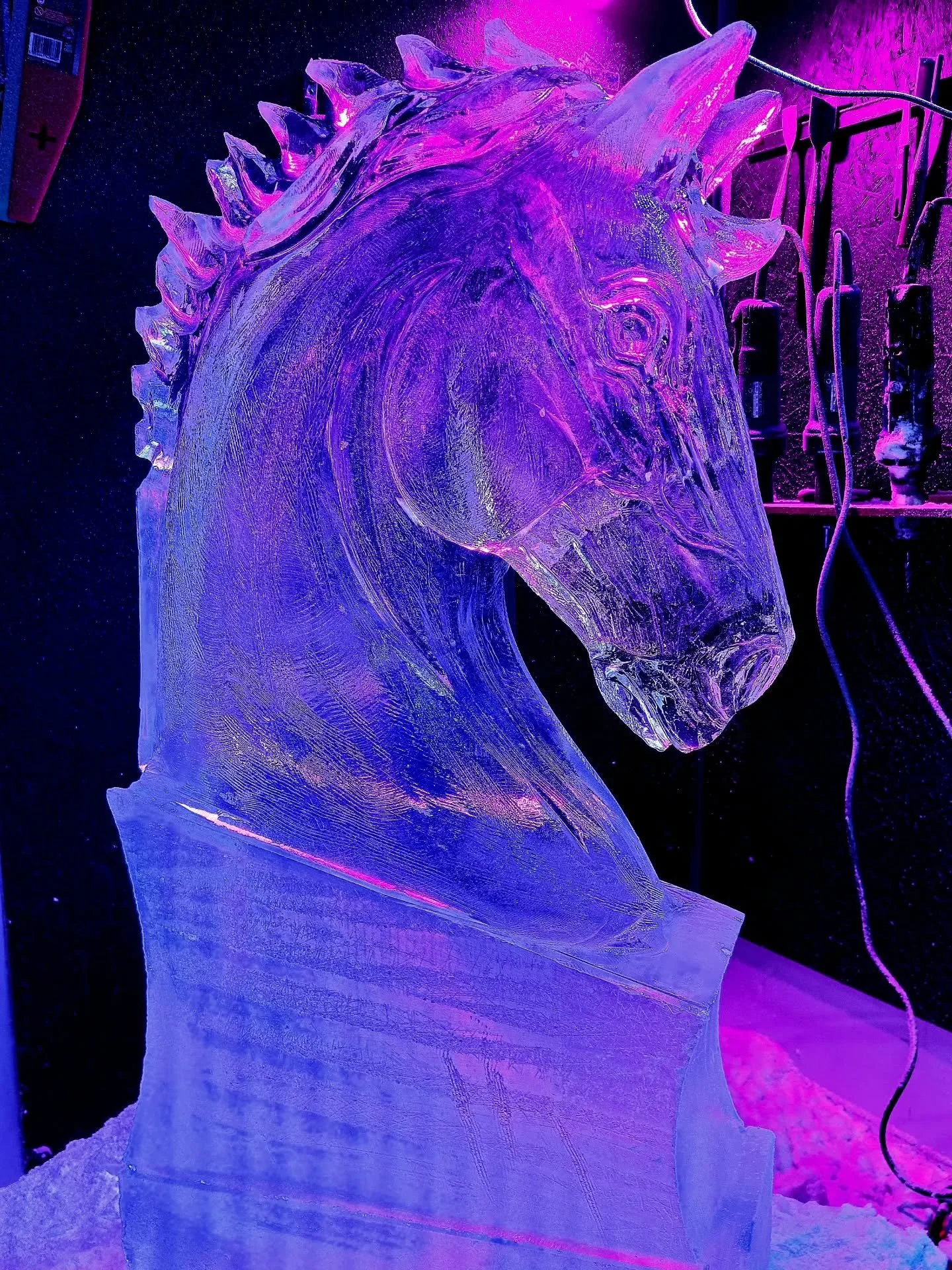Nice little #horse luge #yearofthehorse2026 #icesculpture