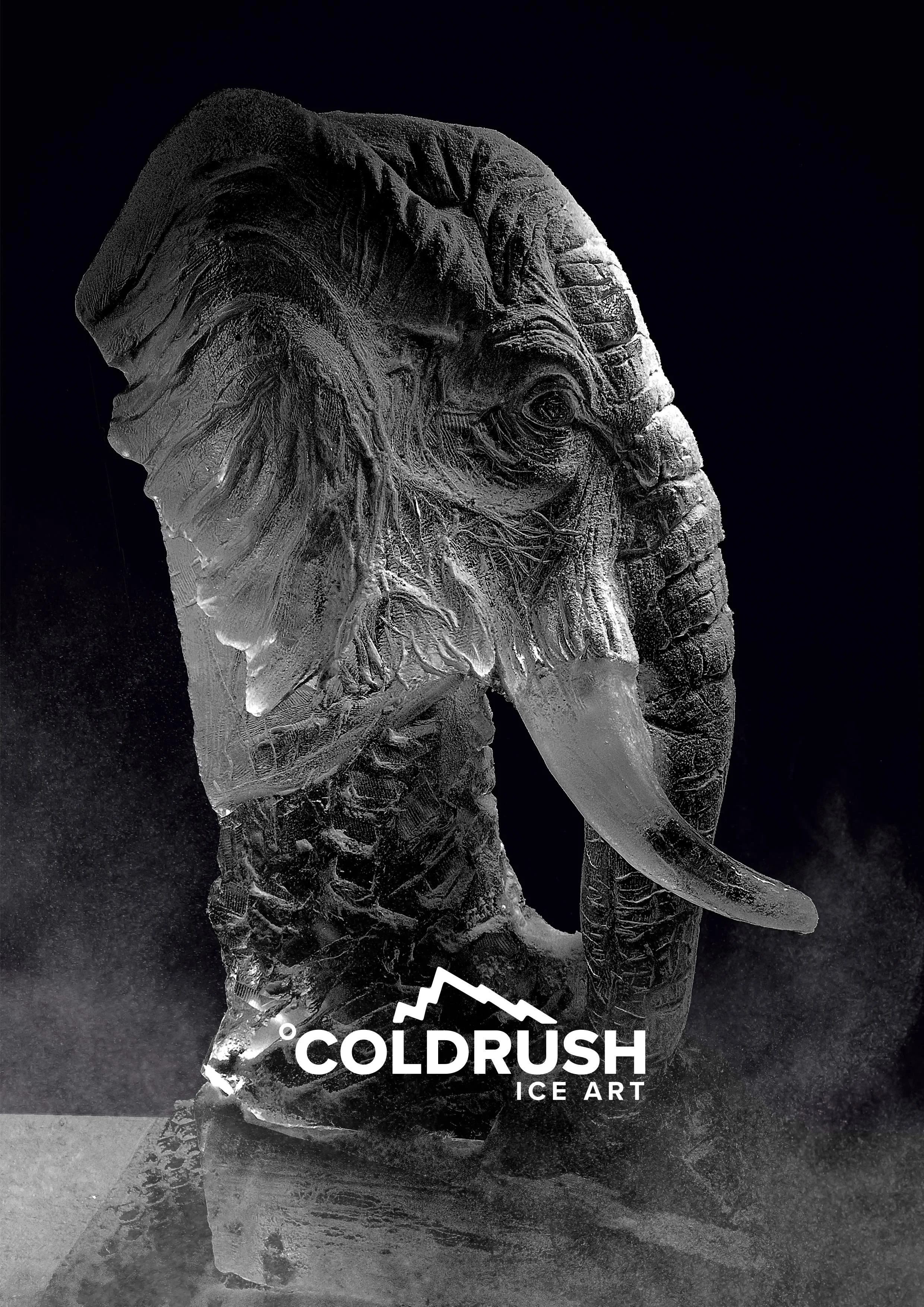 Elephant Head ice sculpture 