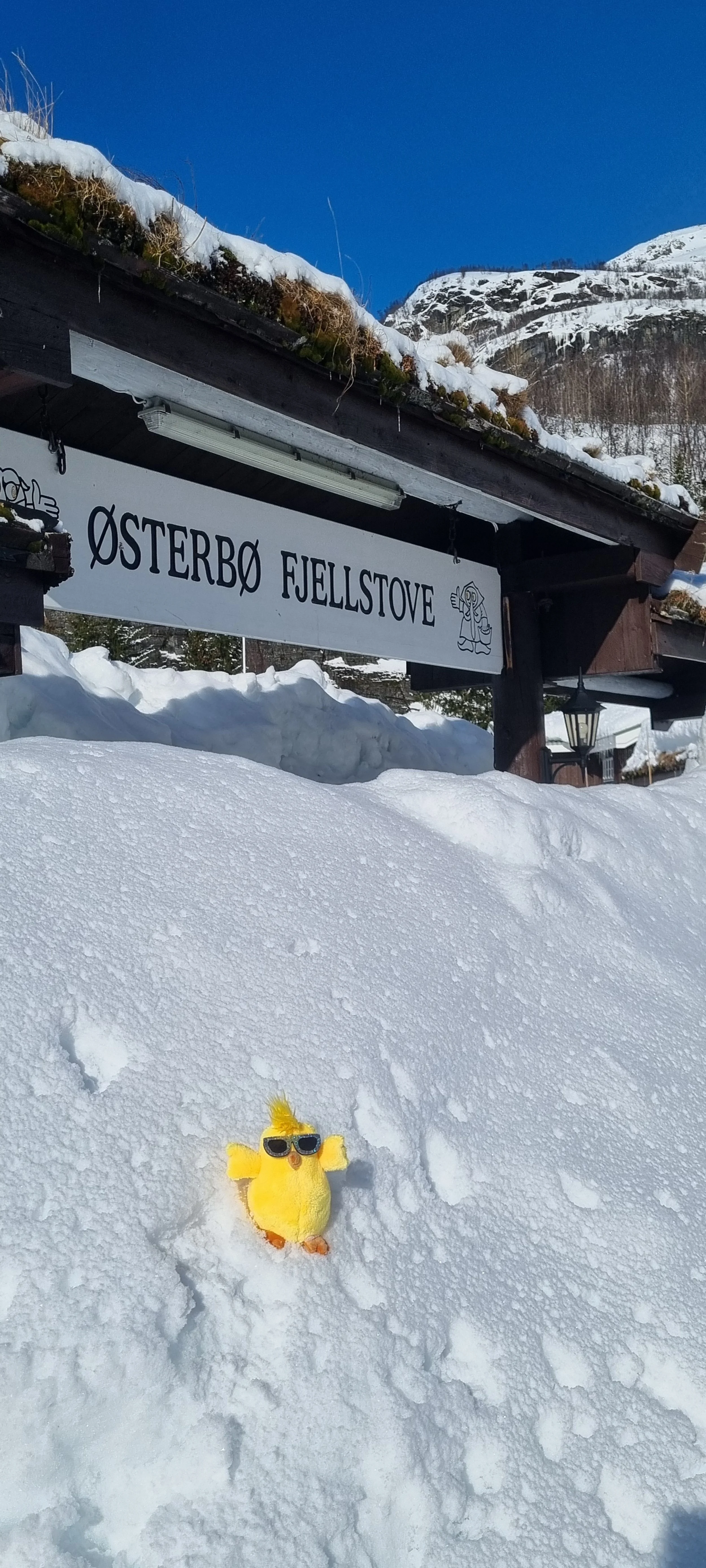 Bingo on Palm Sunday