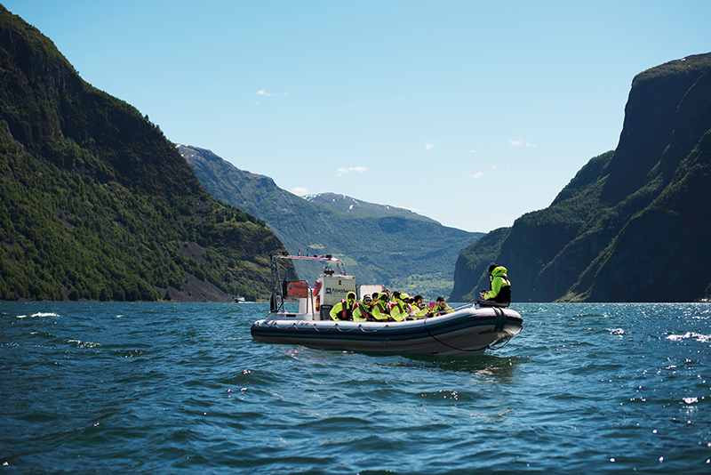 Fjord safari