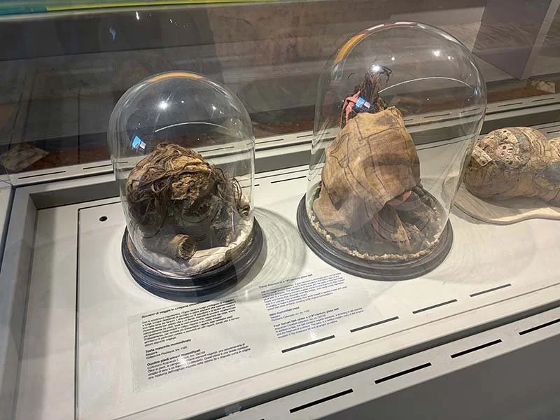 mummified-head-.jpg