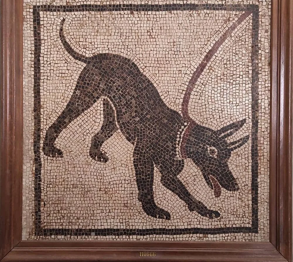 pompei.jpeg