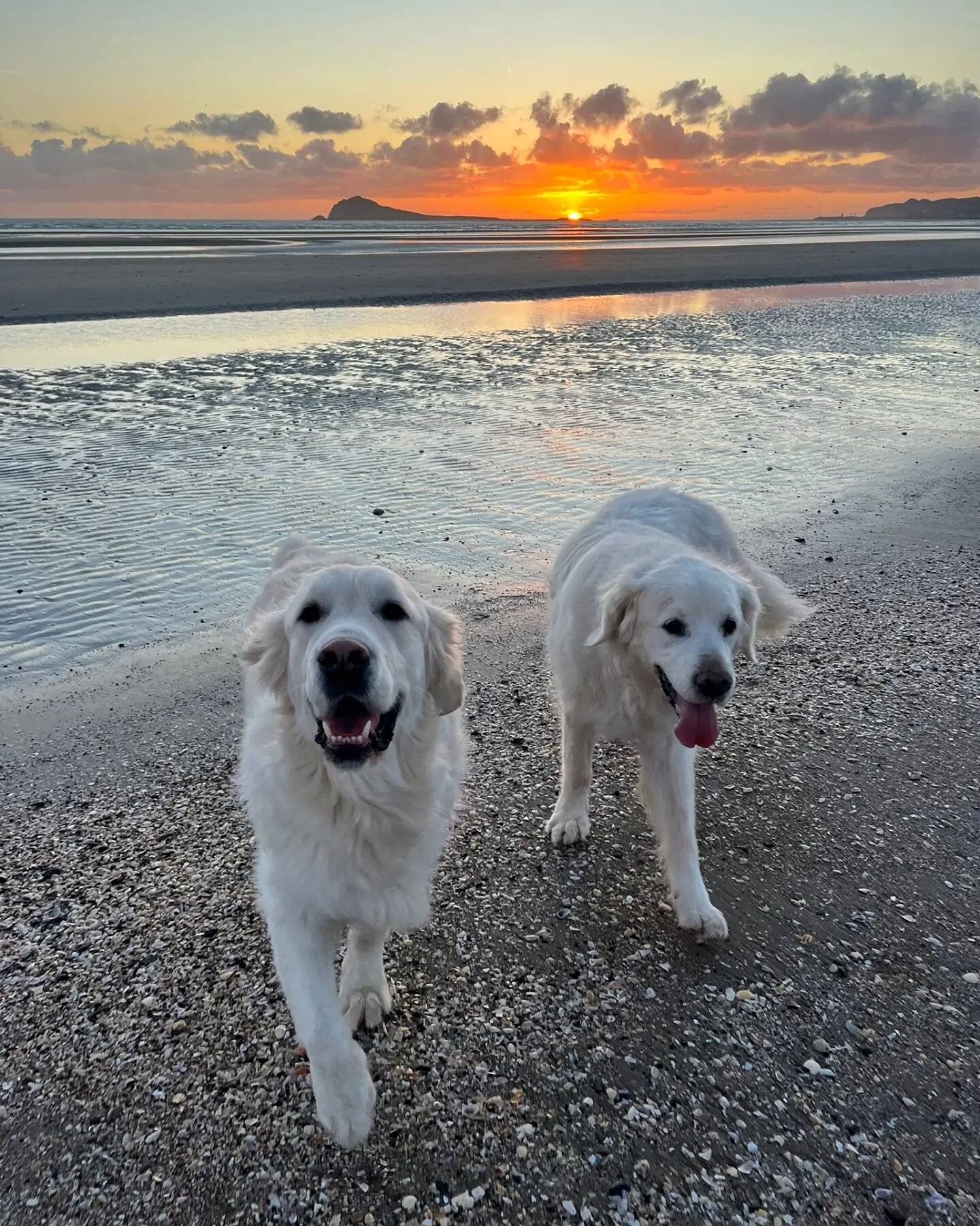 Good morning from Portmarnock 😁☀️💛
Rise and shine its nearly the weekend! Olly and Bobby sending you good vibes 🙌
See ya soon for ☕️ 🥐🥓🍳