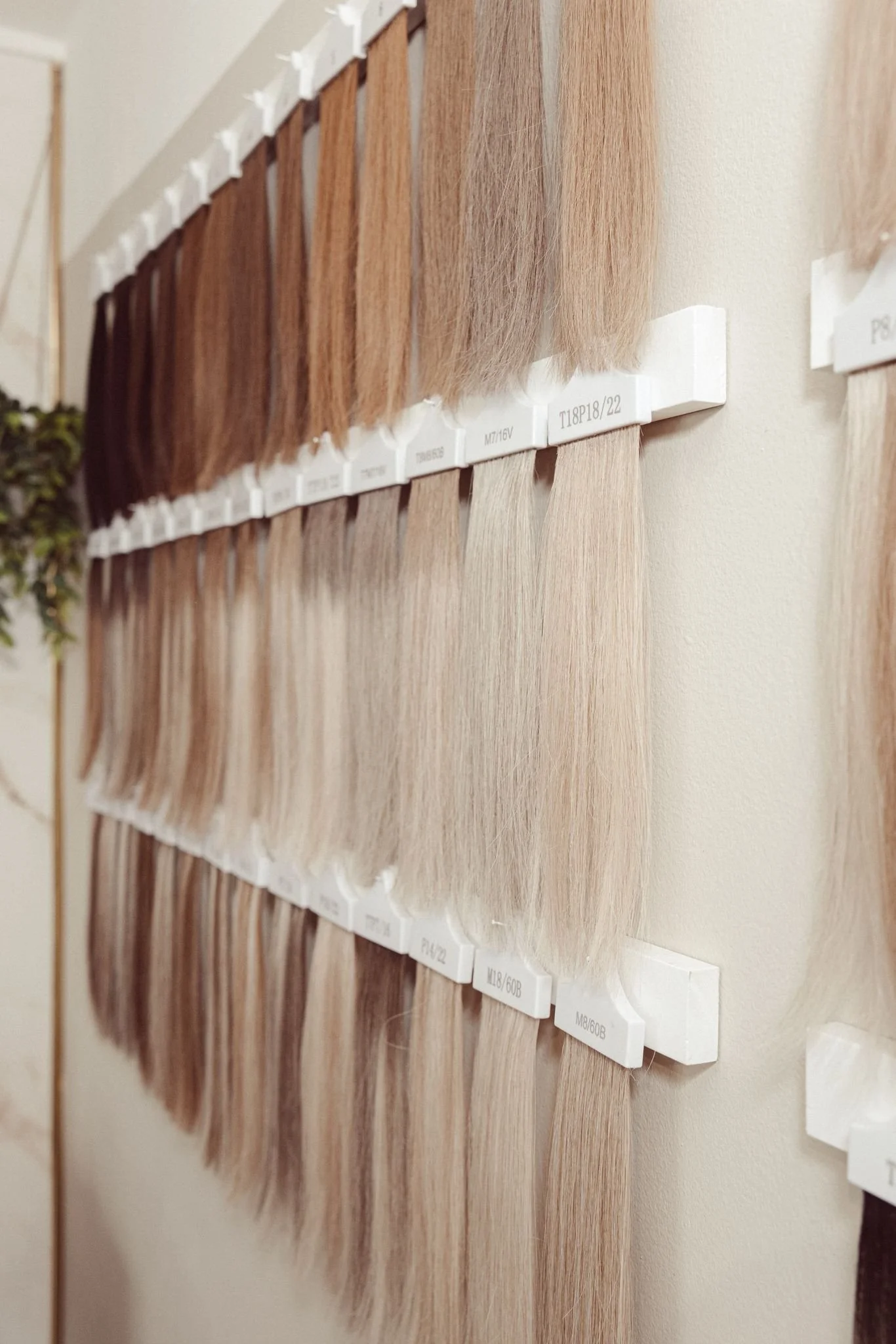 WhatsApp Image 2026-04-08 at 21.16.27 (1).jpeg