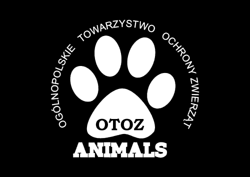 OTOZ ANIMALS.png
