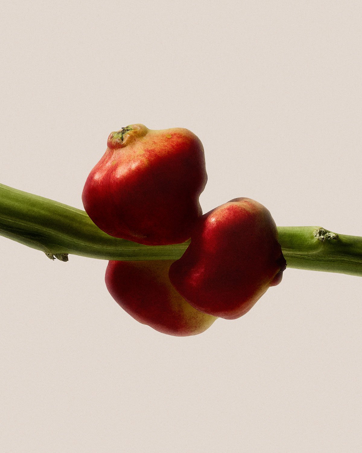 250918_BS_MISS_1_122 2.jpg