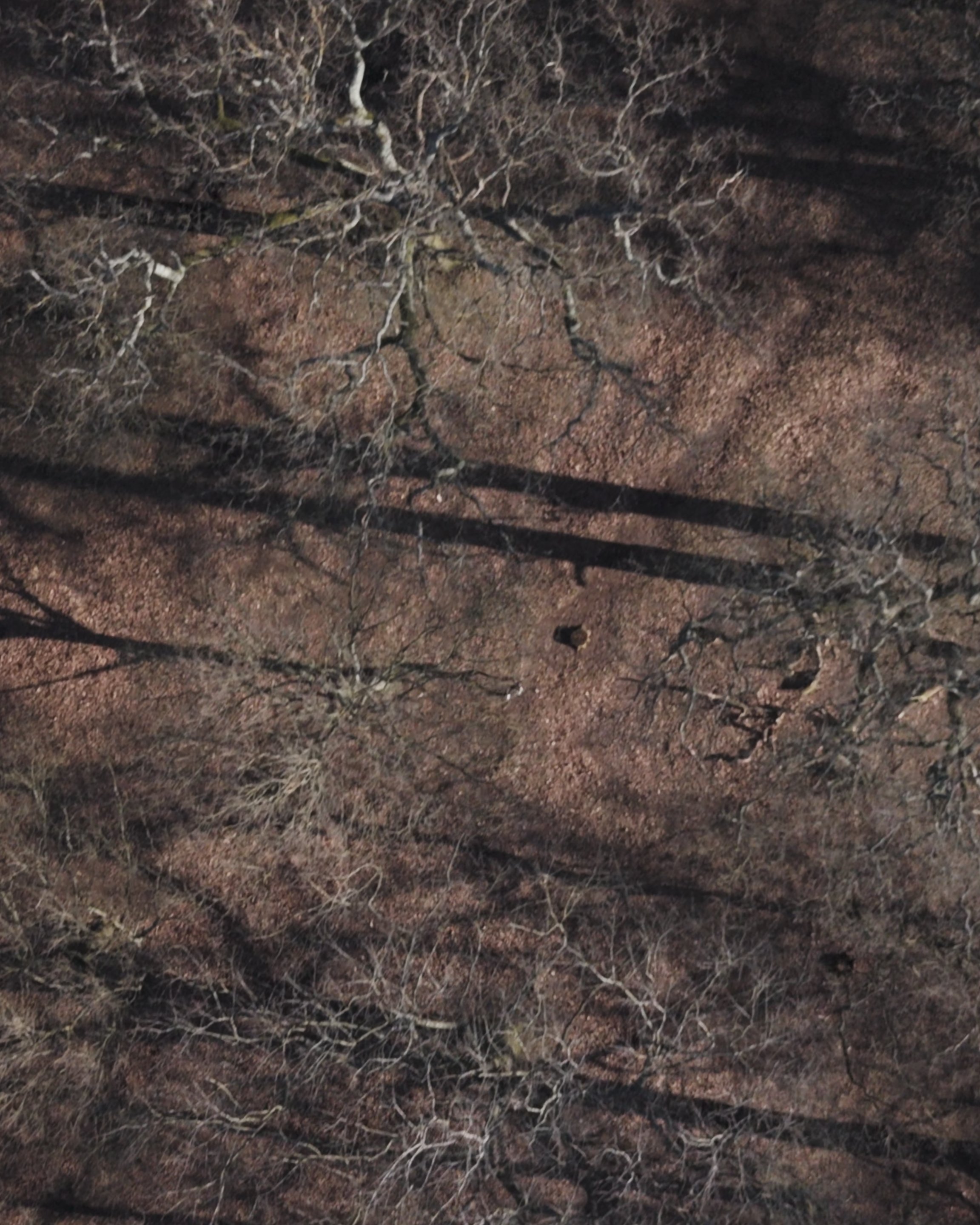Colour Grade Not Colour Managed_01_00_08_12.jpg