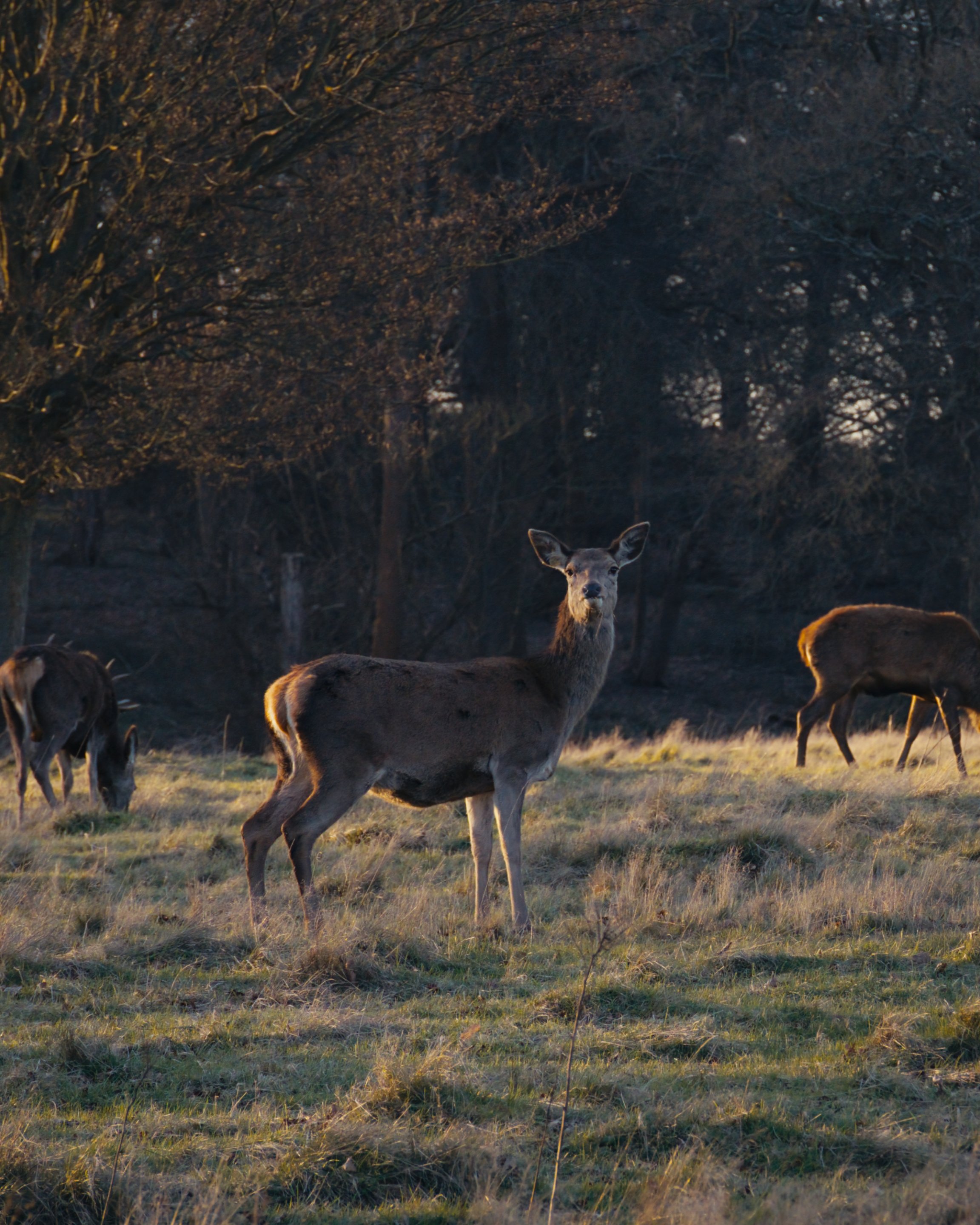 Colour Grade Not Colour Managed_01_00_09_04.jpg
