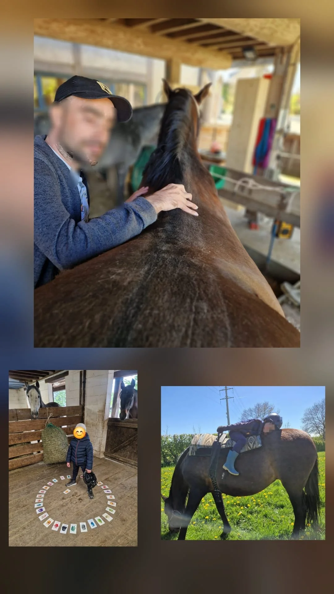 hippotherapie1.jpeg