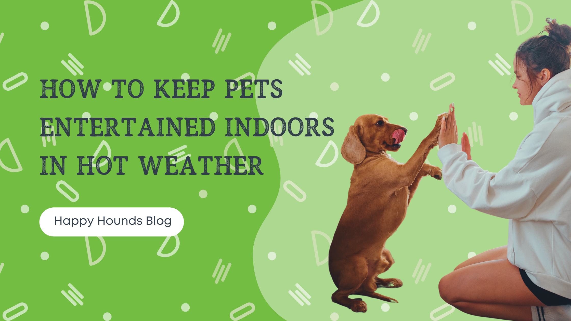 How To Keep Pets Entertained Indoors In Hot Weather — Happy Hounds Pet