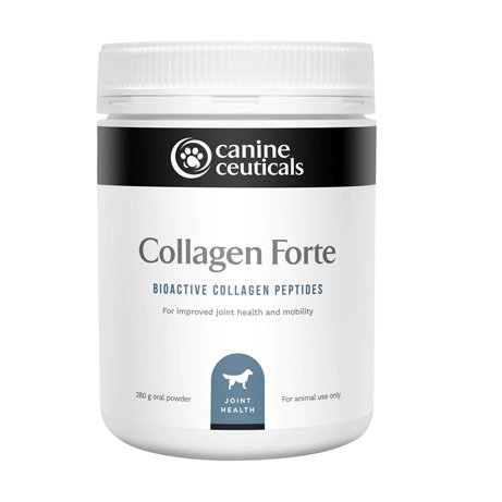 Collagen Forte