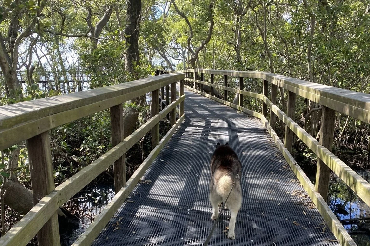 Boardwalk