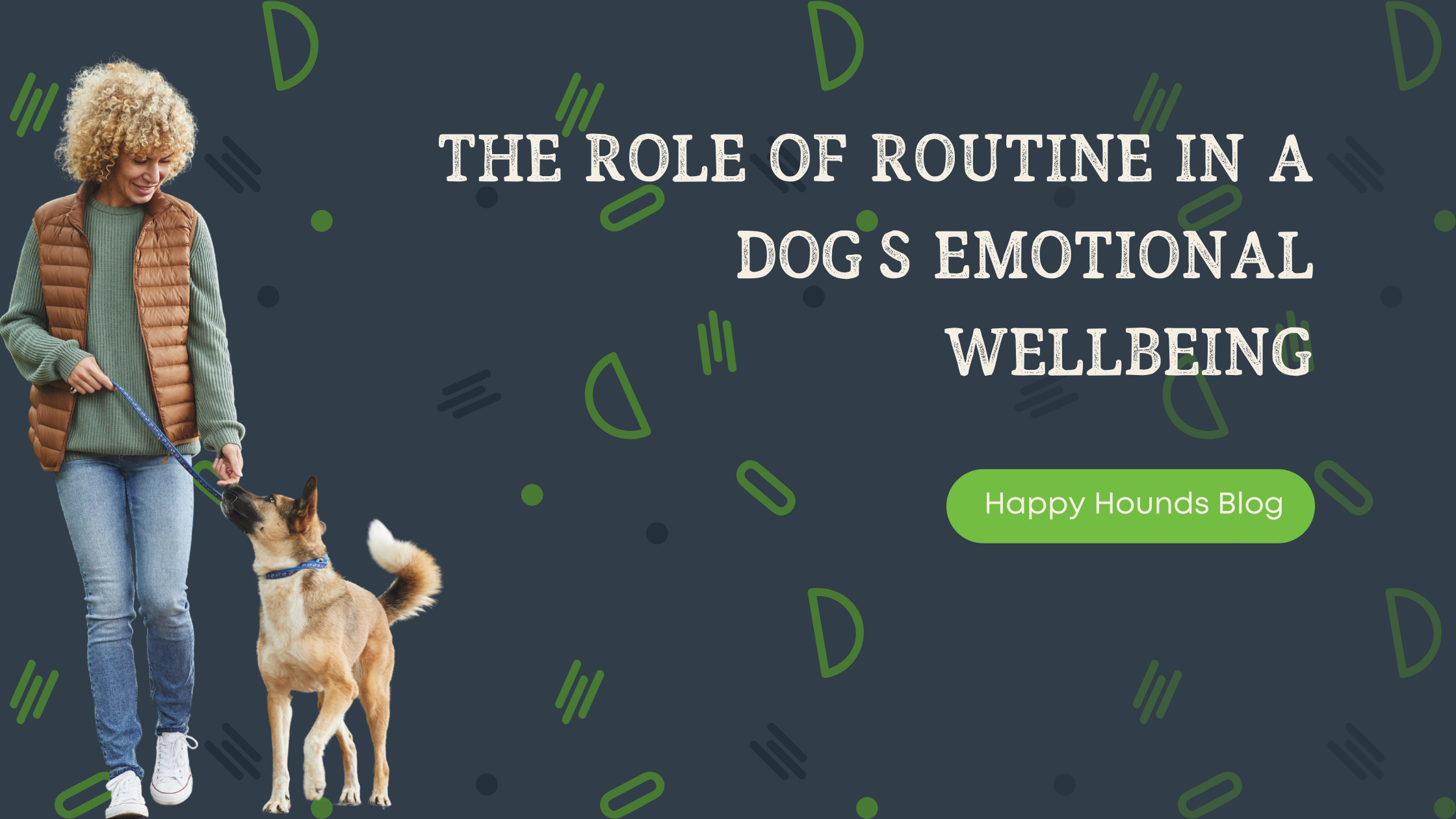 The Role of Routine in a Dog’s Emotional Wellbeing