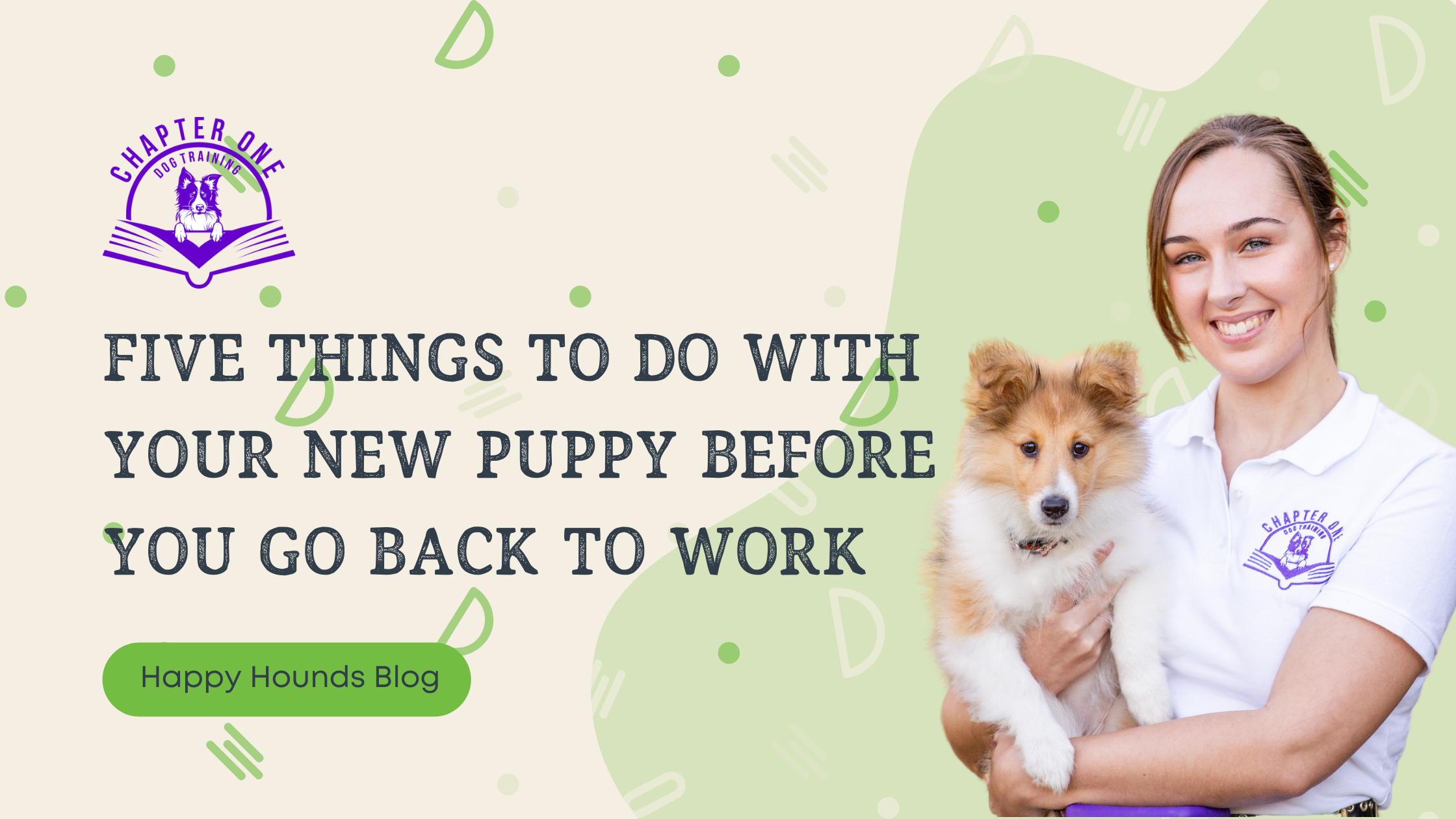 Five things to do with your new puppy before you go back to work