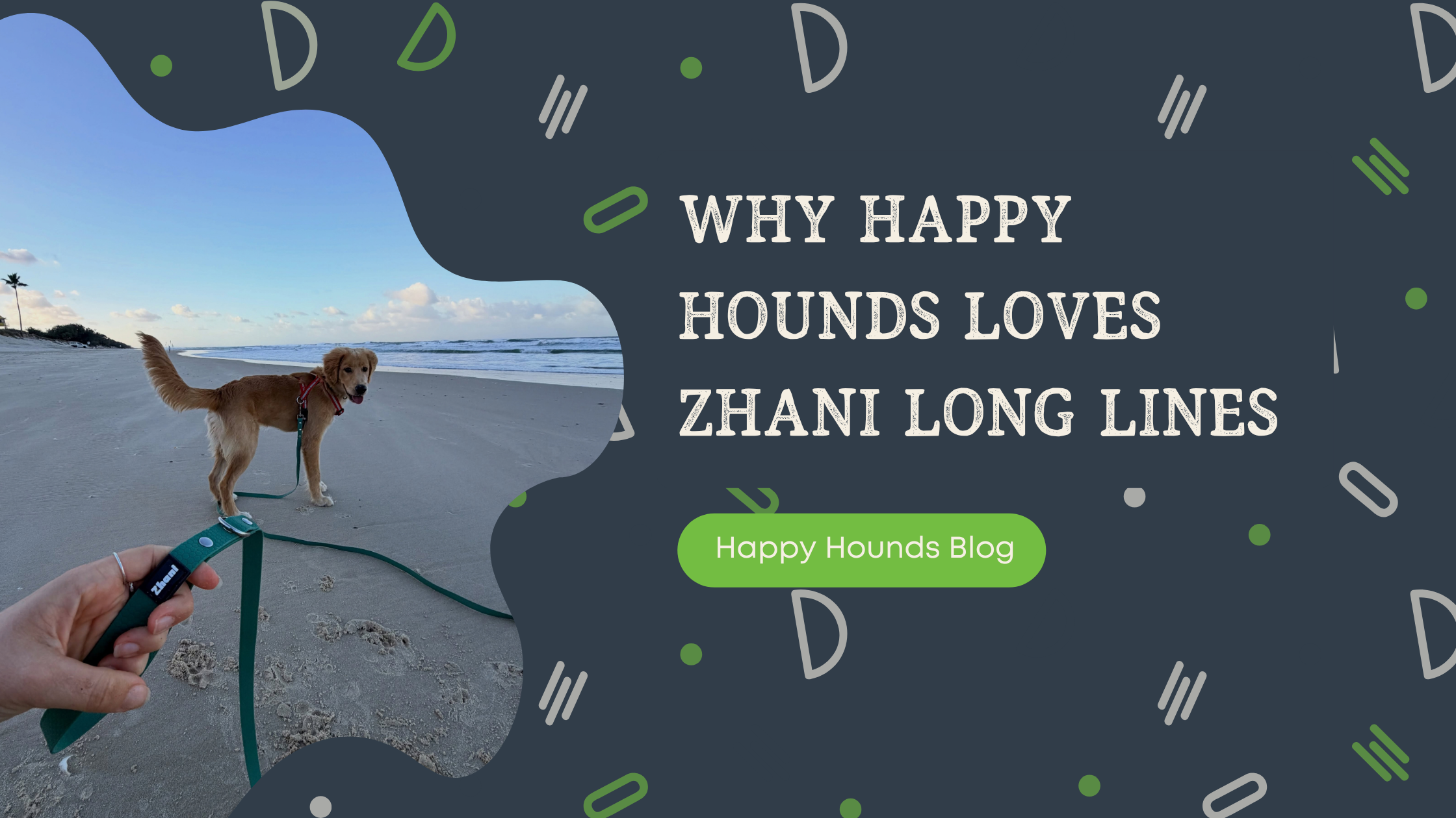 Giving Dogs More Freedom: Why Happy Hounds Loves Zhani Long Lines