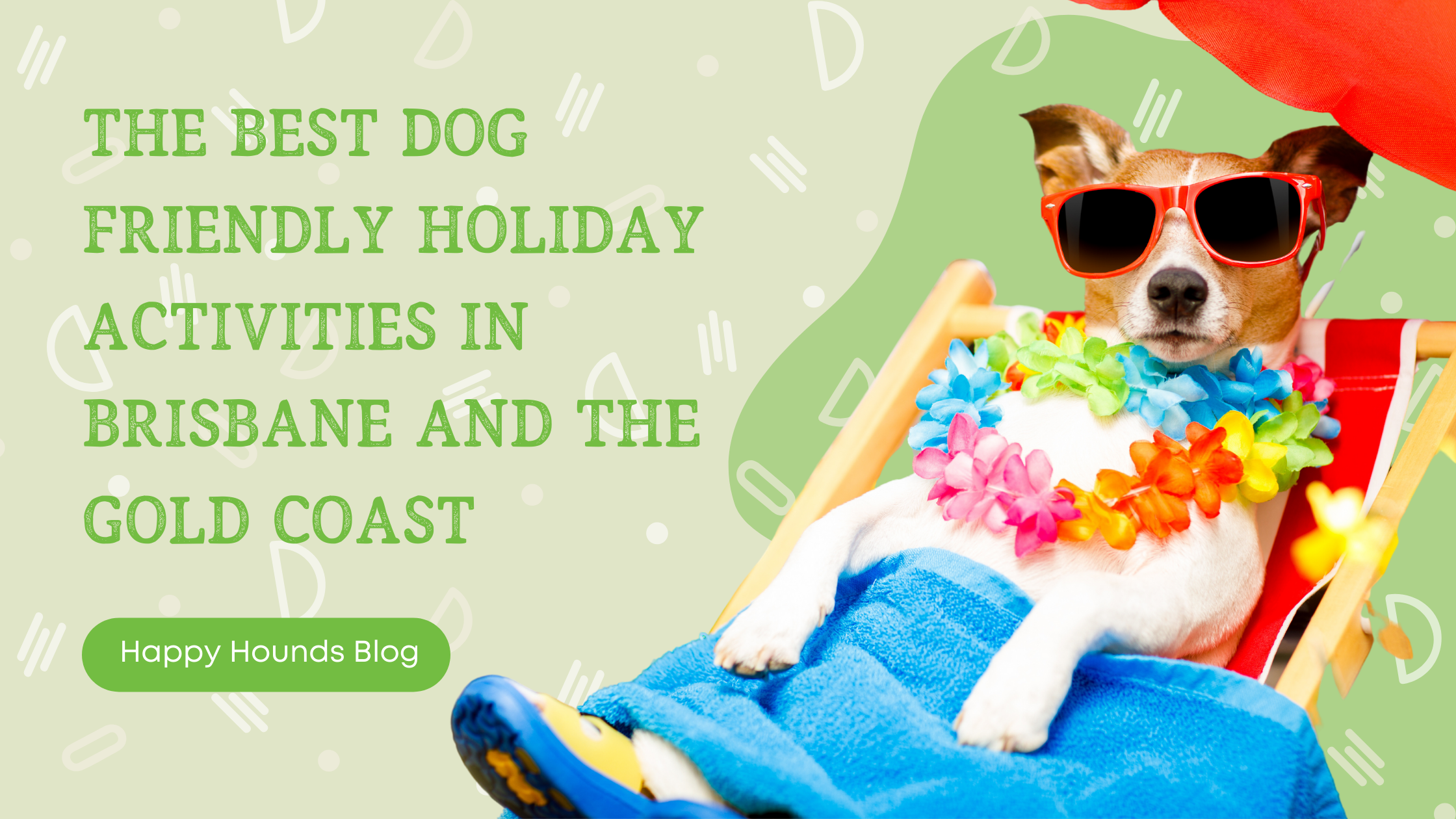 Dog Friendly Holiday Activities