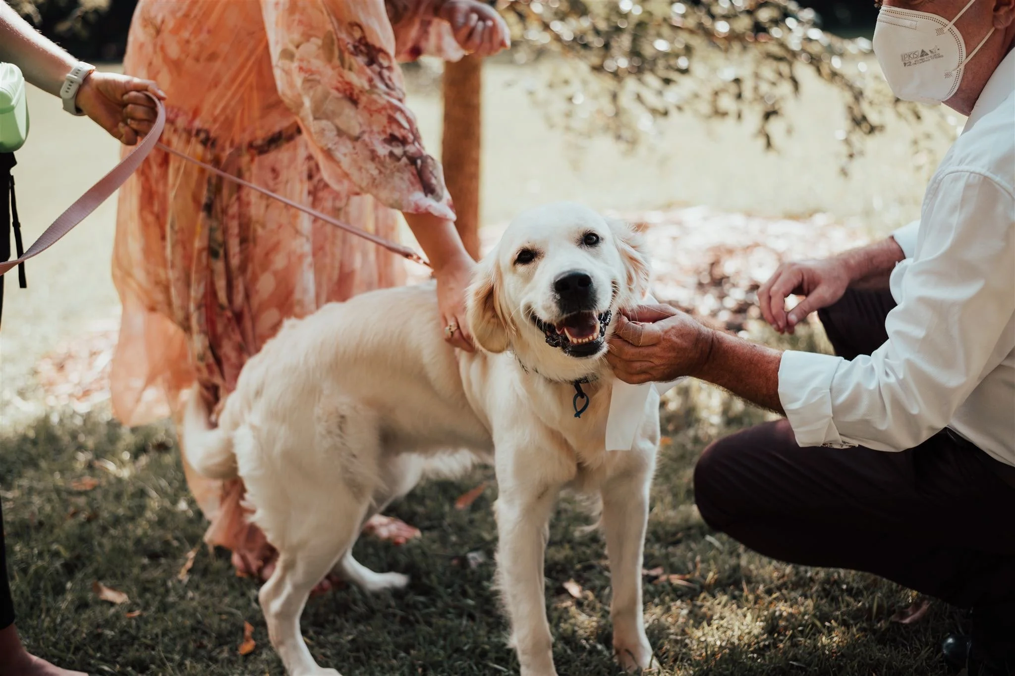 Photo Credit: Bird and Boy Photography