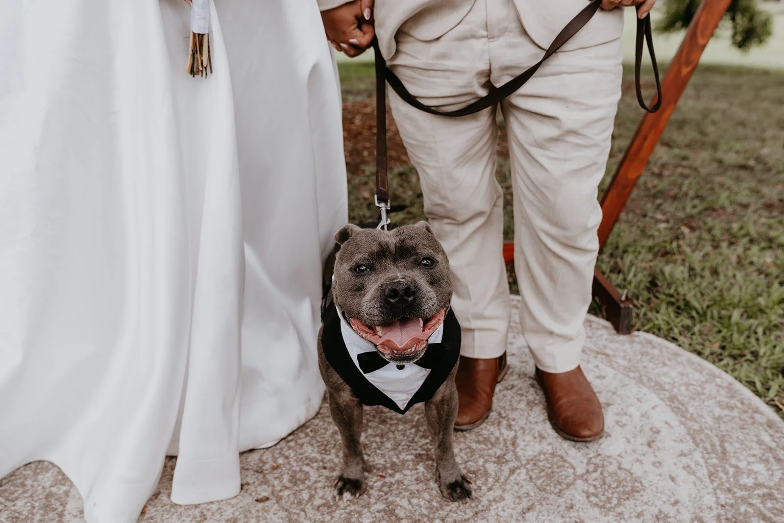 Photo Credit: Lauren Johnson Photography