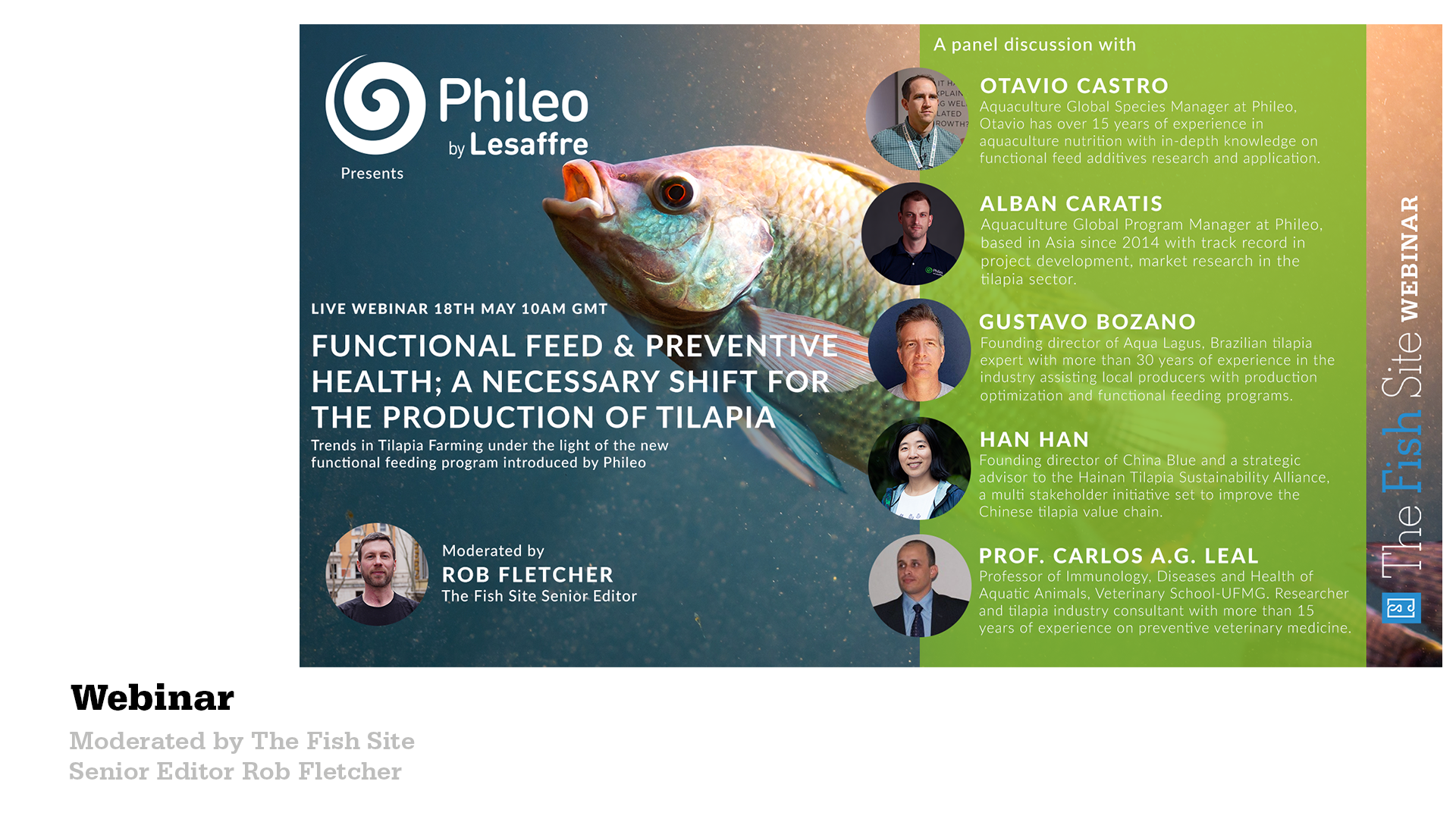 Phileo_webinar.png