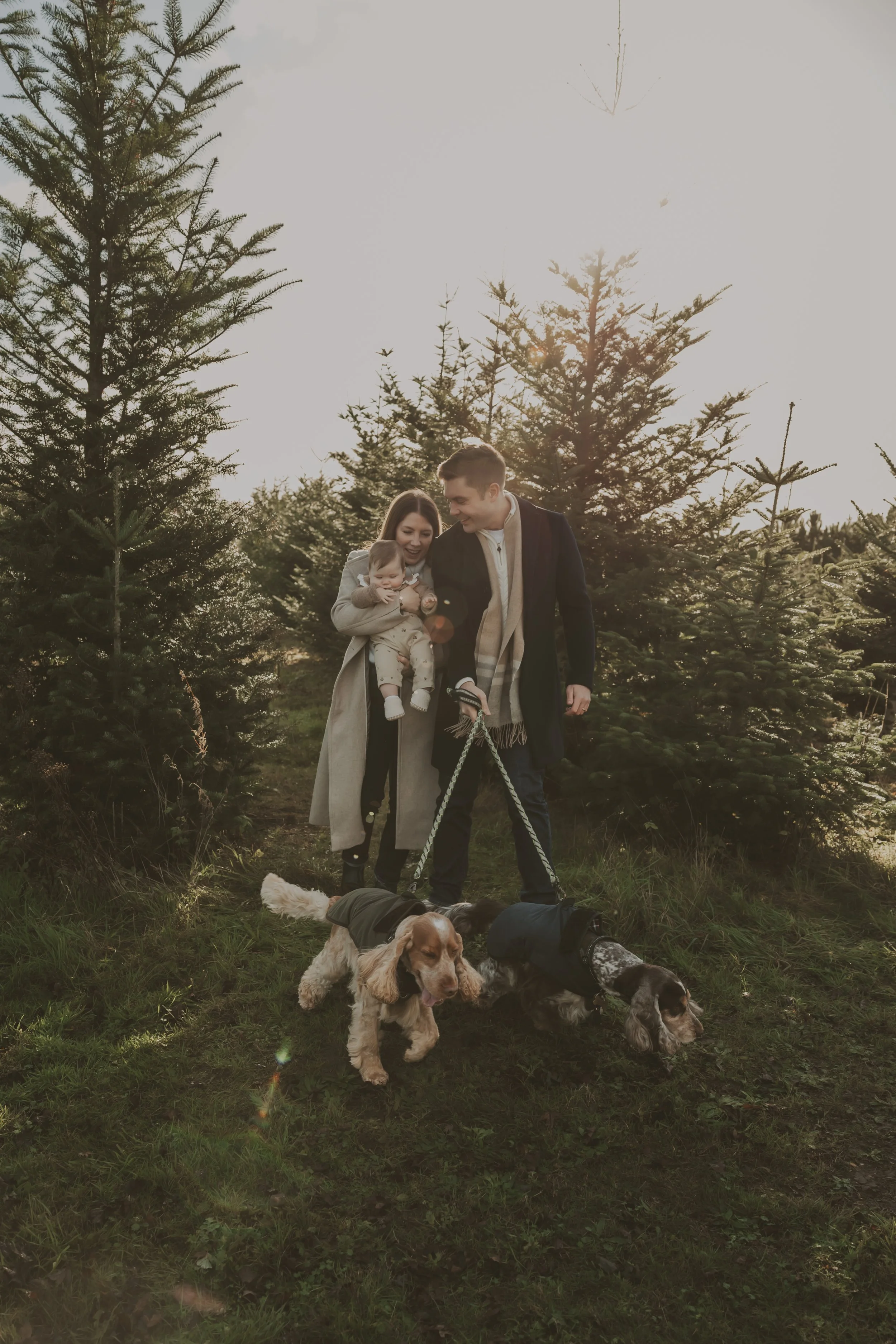 Hertfordshire Christmas photographer, Christmas mini sessions Hertfordshire, Hitchin Christmas photoshoot, family Christmas photoshoot Hertfordshire, Christmas tree farm photoshoot, studio Christmas mini sessions Hitchin, natural Christmas photograph