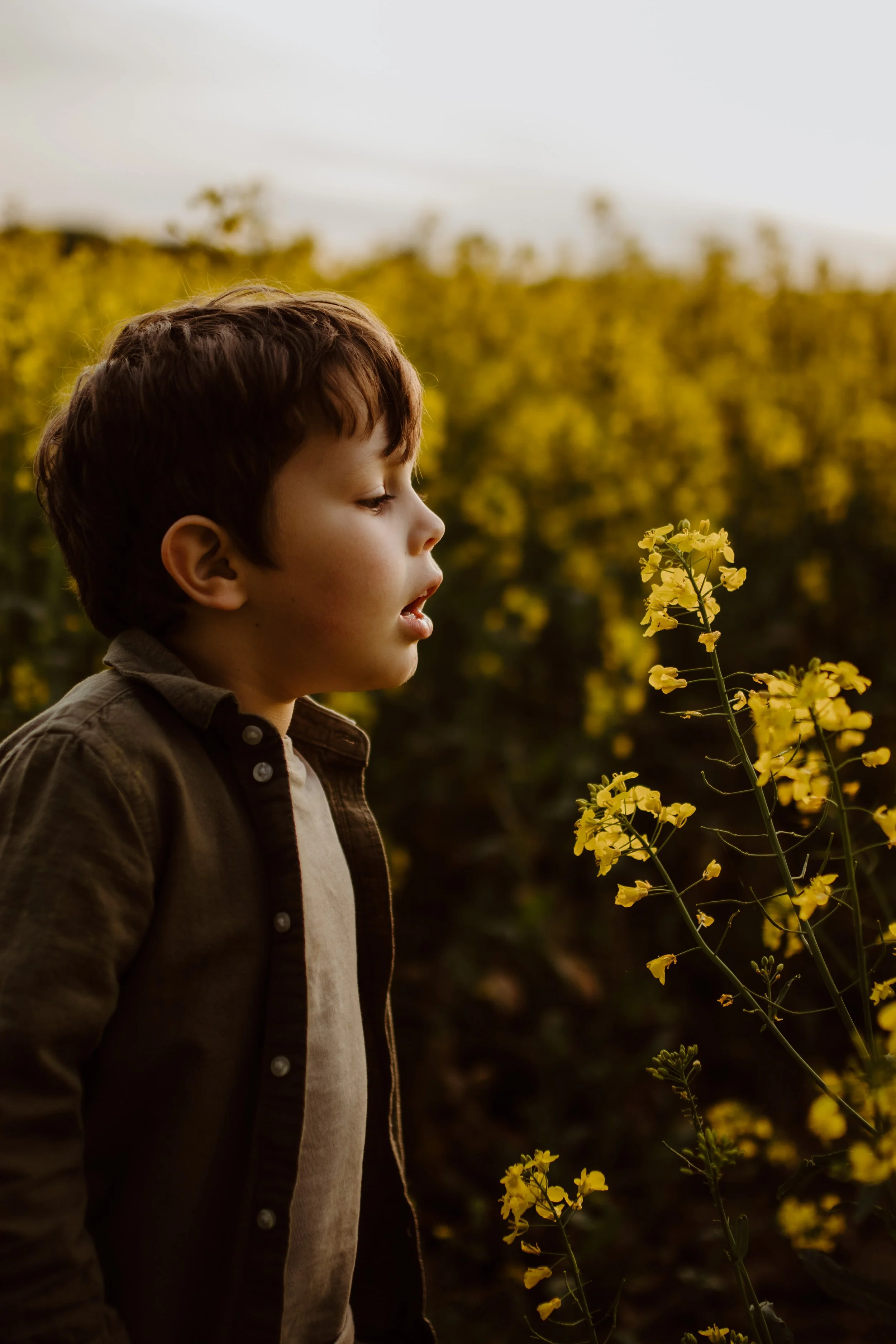 Hertfordshire Spring Mini Photoshoot, Spring Family Photography, Spring Mini Session, Rapeseed family photoshoot, Spring Colours, Spring Flower photography, Family Photoshoot Hertfordshire