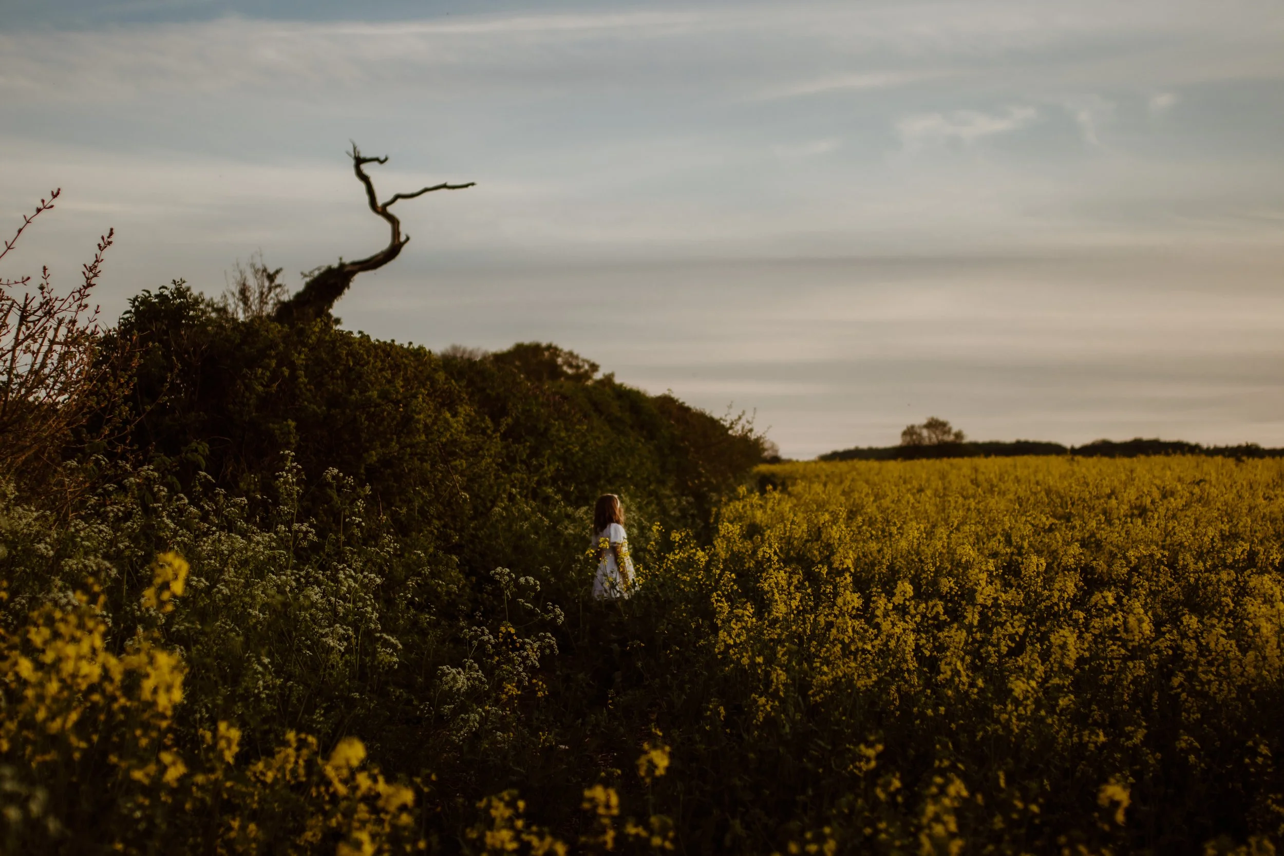 Hertfordshire Spring Mini Photoshoot, Spring Family Photography, Spring Mini Session, Rapeseed family photoshoot, Spring Colours, Spring Flower photography, Family Photoshoot Hertfordshire