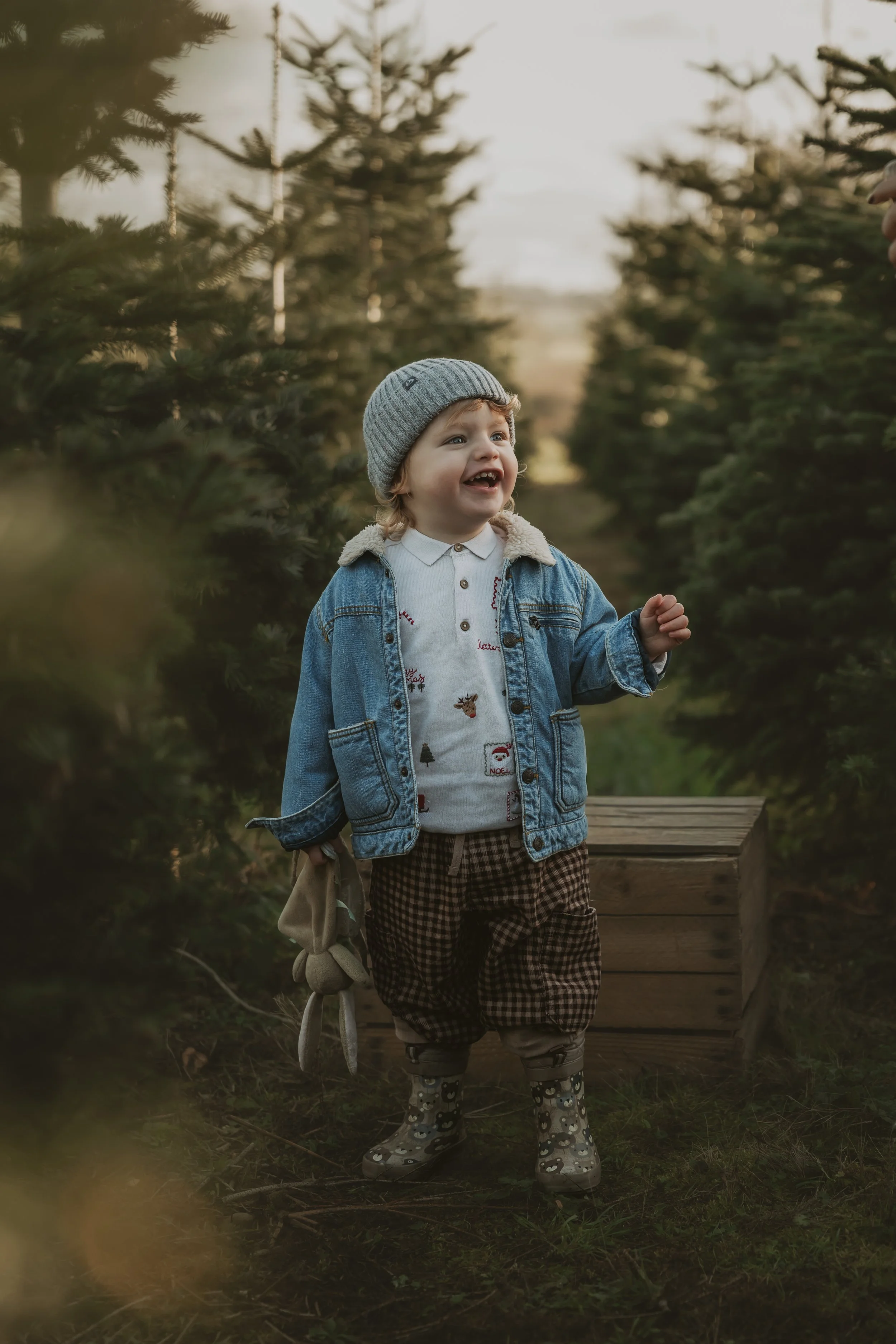 Hertfordshire Christmas photographer, Christmas mini sessions Hertfordshire, Hitchin Christmas photoshoot, family Christmas photoshoot Hertfordshire, Christmas tree farm photoshoot, studio Christmas mini sessions Hitchin, natural Christmas photograph