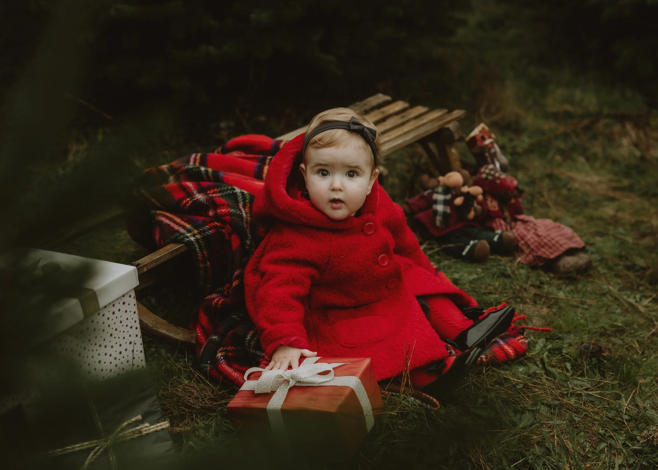 Hertfordshire Christmas photographer, Christmas mini sessions Hertfordshire, Hitchin Christmas photoshoot, family Christmas photoshoot Hertfordshire, Christmas tree farm photoshoot, studio Christmas mini sessions Hitchin, natural Christmas photograph