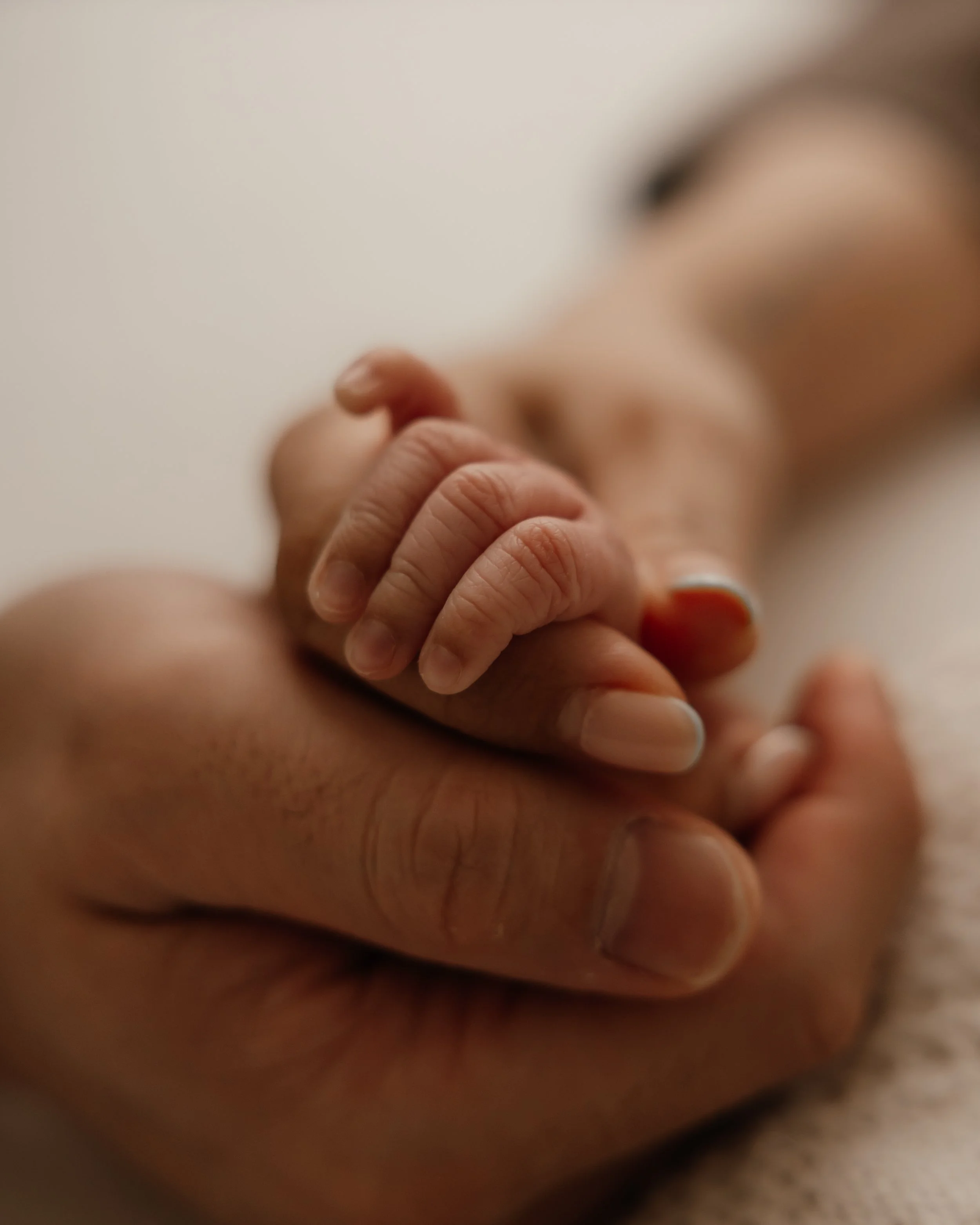 Newborn photography Hertfordshire
Newborn photoshoot Hitchin Hertfordshire
Emotive newborn photography
Natural newborn photography