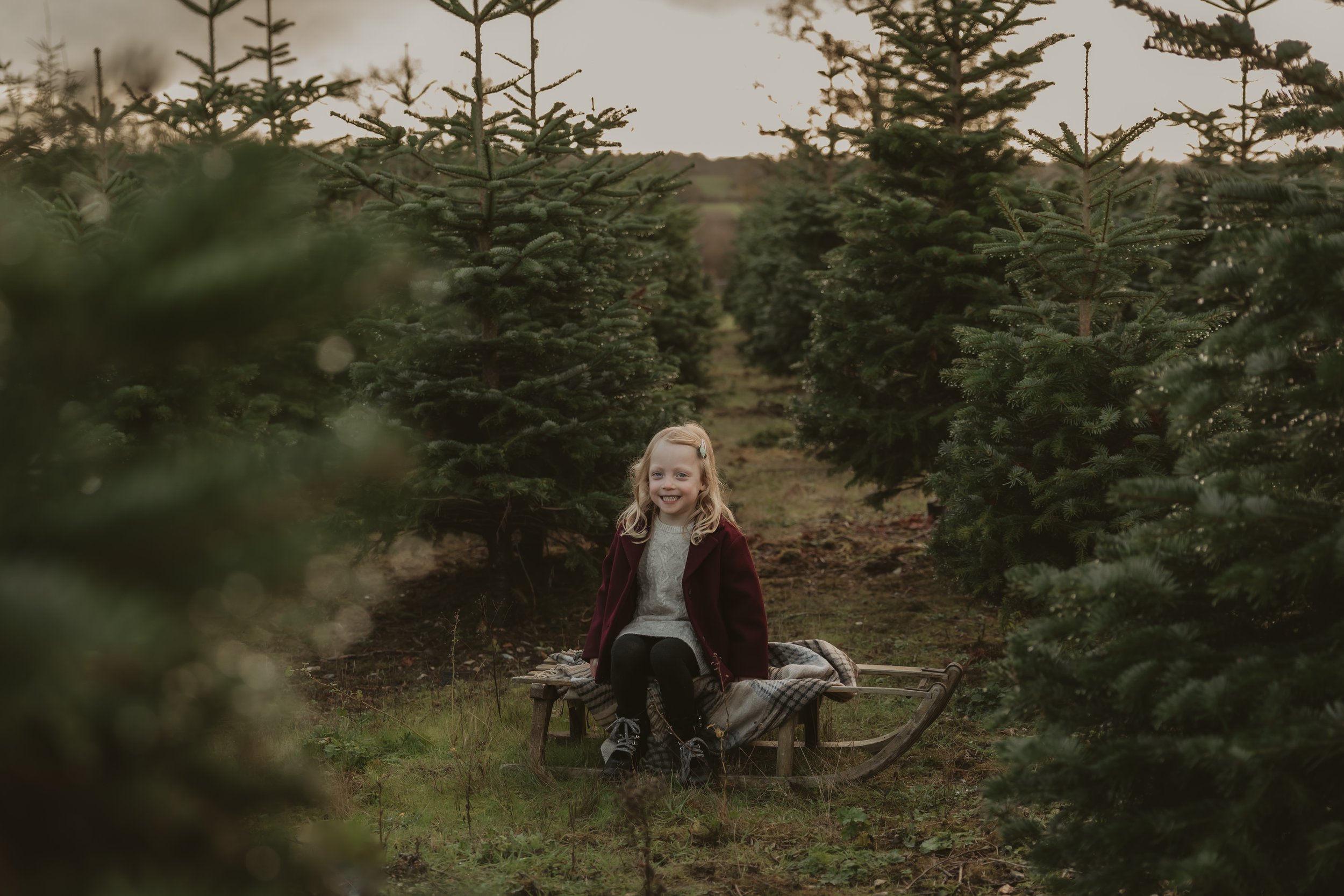 Hertfordshire Christmas photographer, Christmas mini sessions Hertfordshire, Hitchin Christmas photoshoot, family Christmas photoshoot Hertfordshire, Christmas tree farm photoshoot, studio Christmas mini sessions Hitchin, natural Christmas photograph