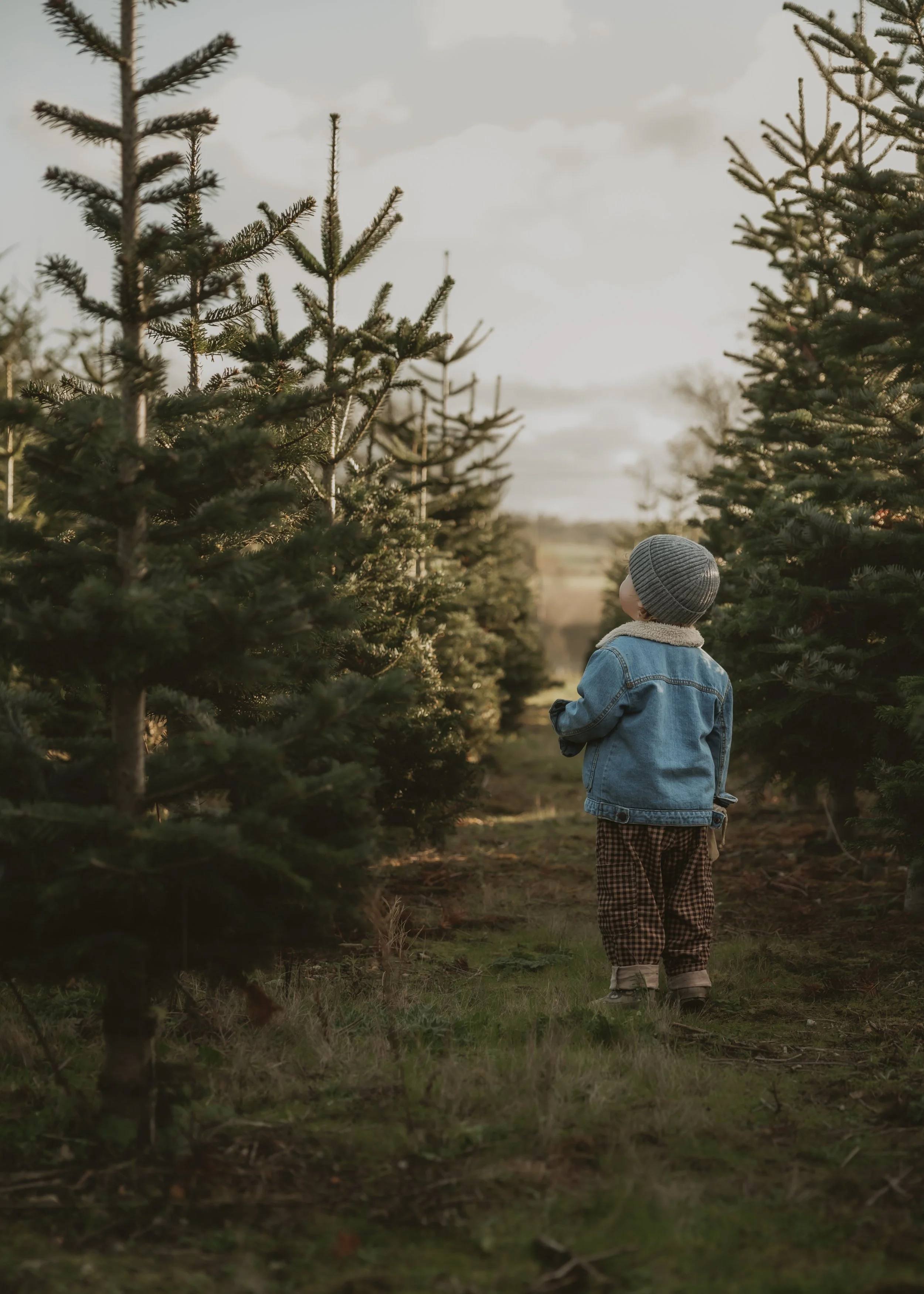 020-2025.11.23-Christmas Tree - Grace and Archie.jpg