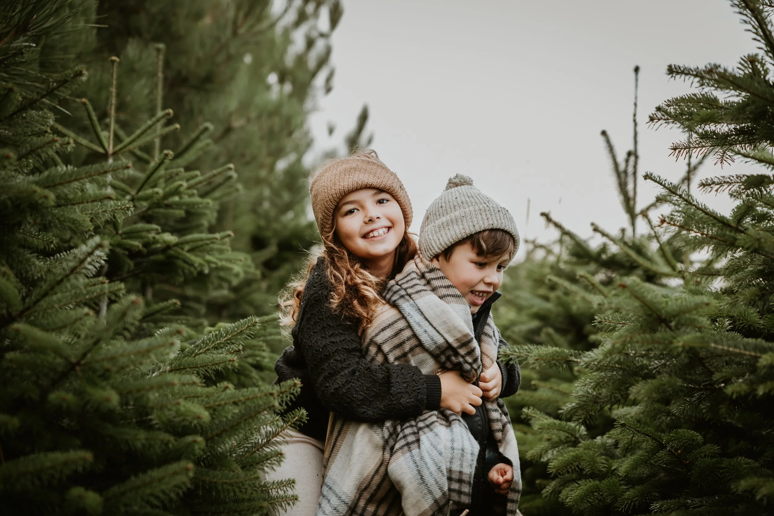 Hertfordshire Christmas photographer, Christmas mini sessions Hertfordshire, Hitchin Christmas photoshoot, family Christmas photoshoot Hertfordshire, Christmas tree farm photoshoot, studio Christmas mini sessions Hitchin, natural Christmas photograph