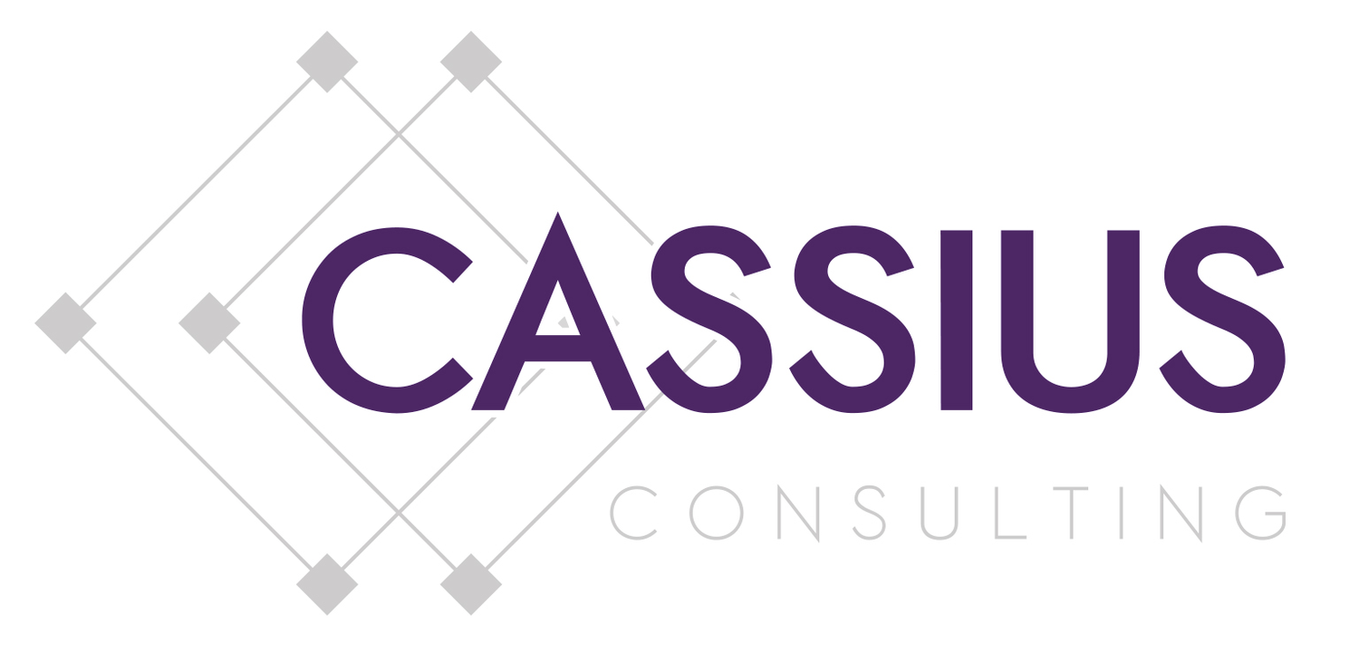 Cassius Consulting