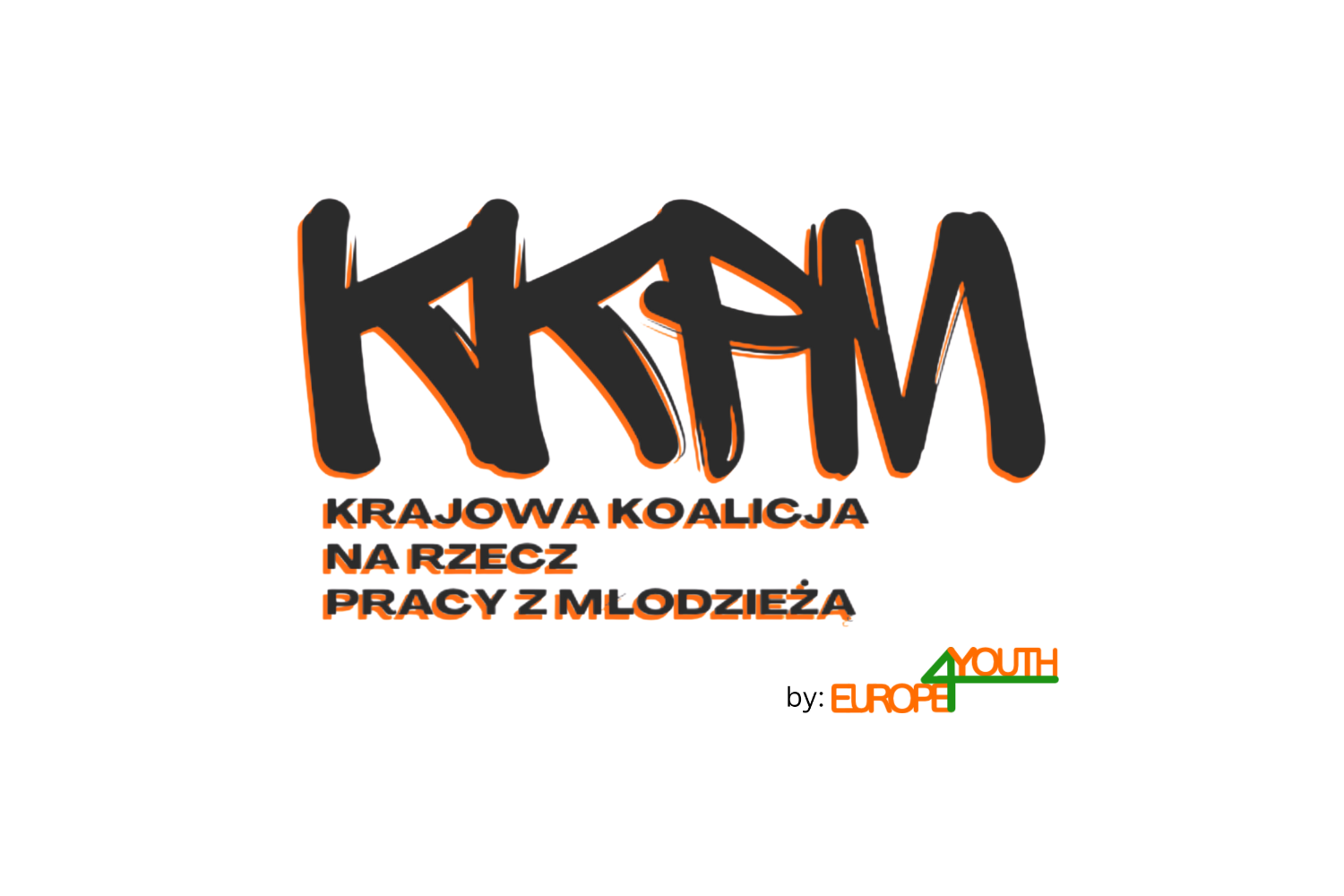 National Coalition for Youth Work in Poland (by Europe4Youth Association)