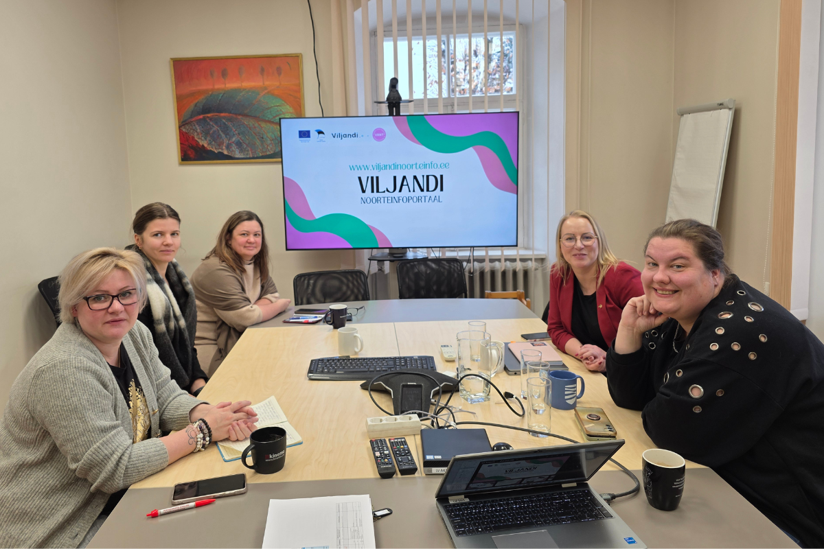 Creating youth information standards with young people in Estonia