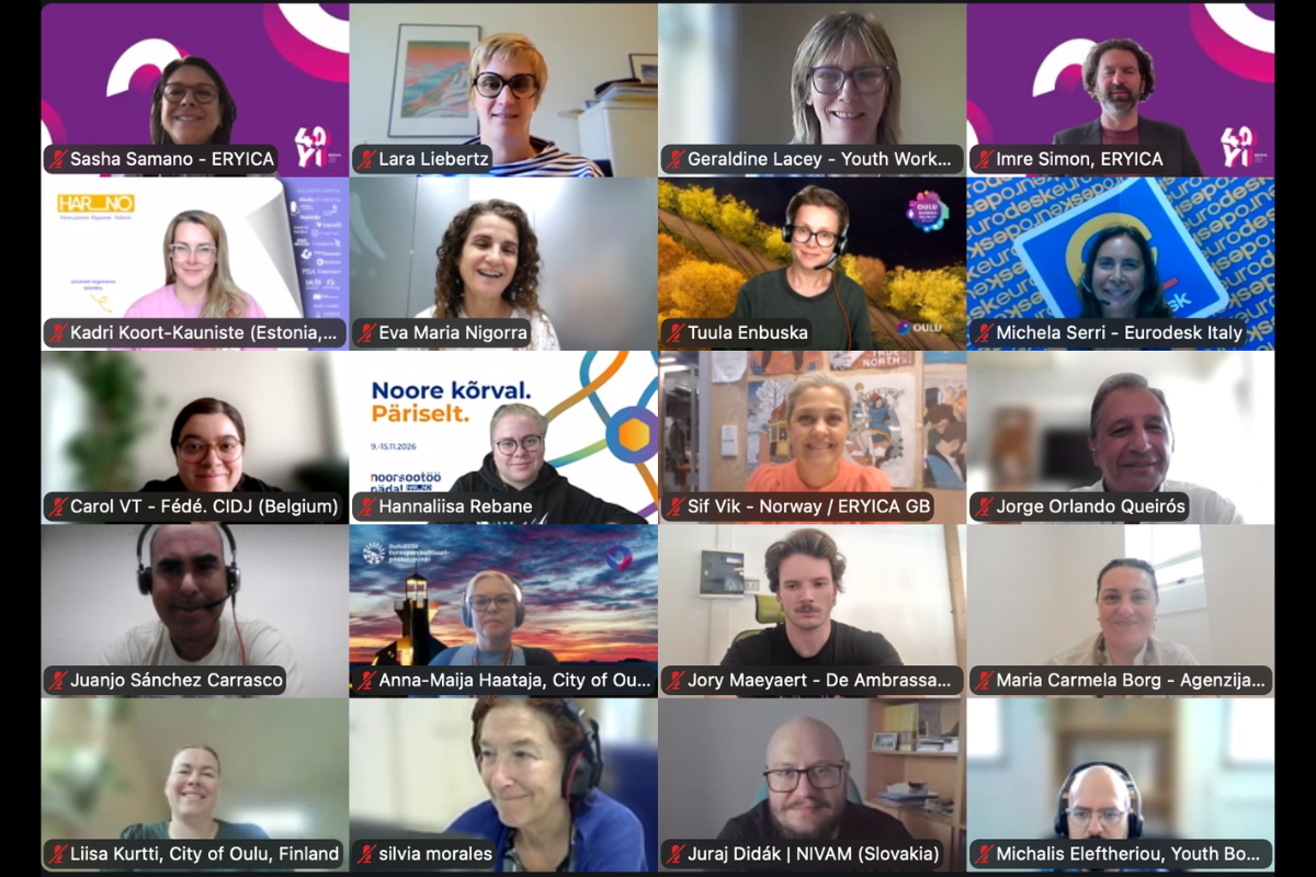 The 6th Online Network Meeting puts its focus on improving ERYICA’s Communication