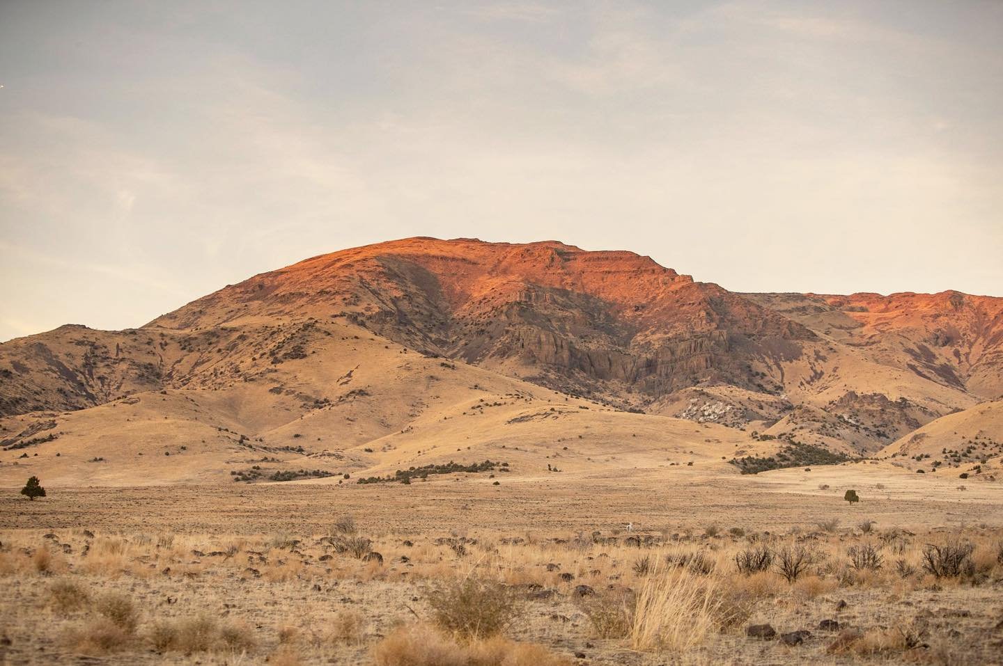 Wild horse included in frame to show scale.