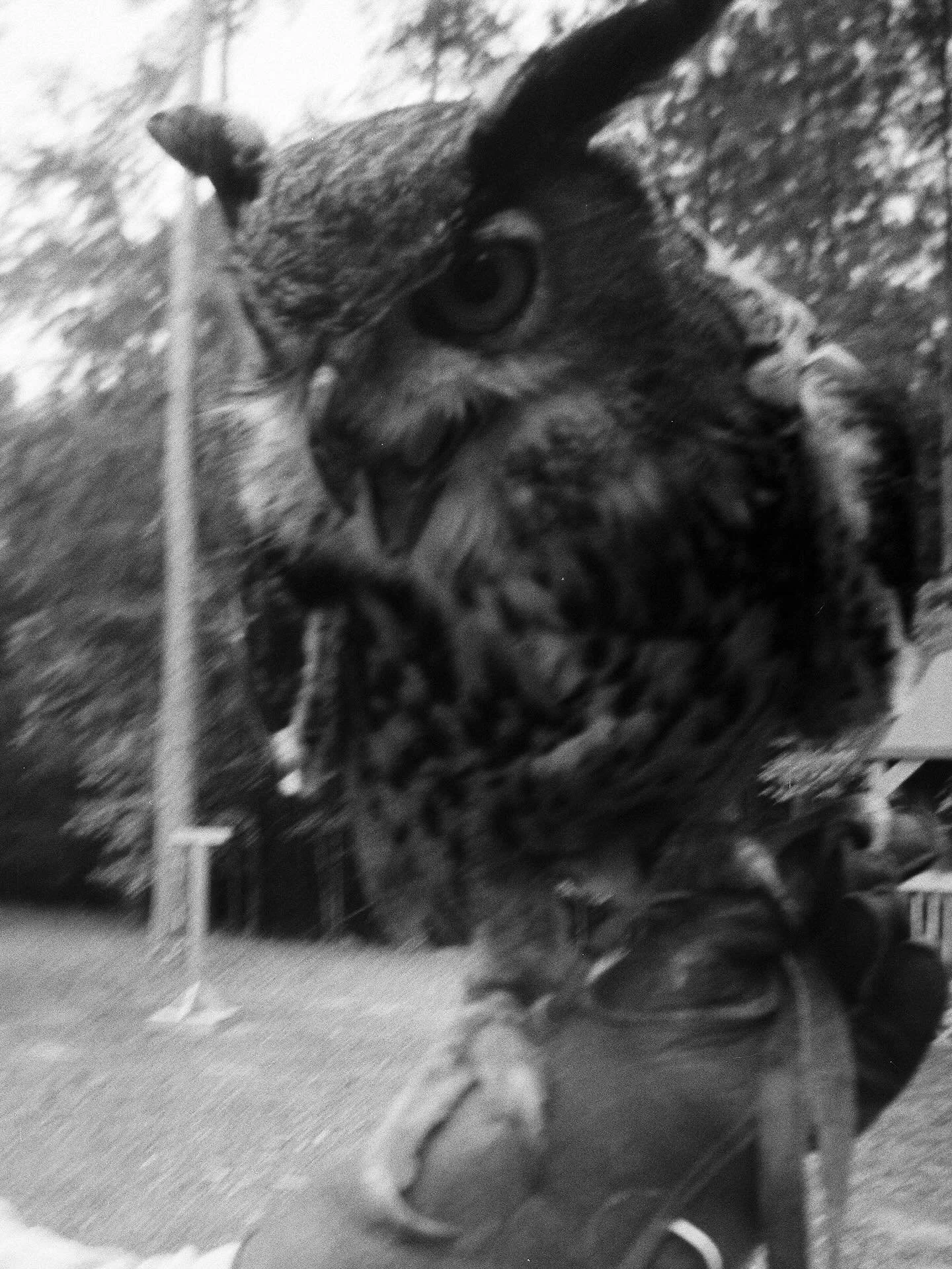 Snapshot BTS from an amazing lifestyle shoot at Reynolds Lake Oconee in GA earlier this year with @ferebeelane. This disposable Kodak Tri-x camera is a blast.