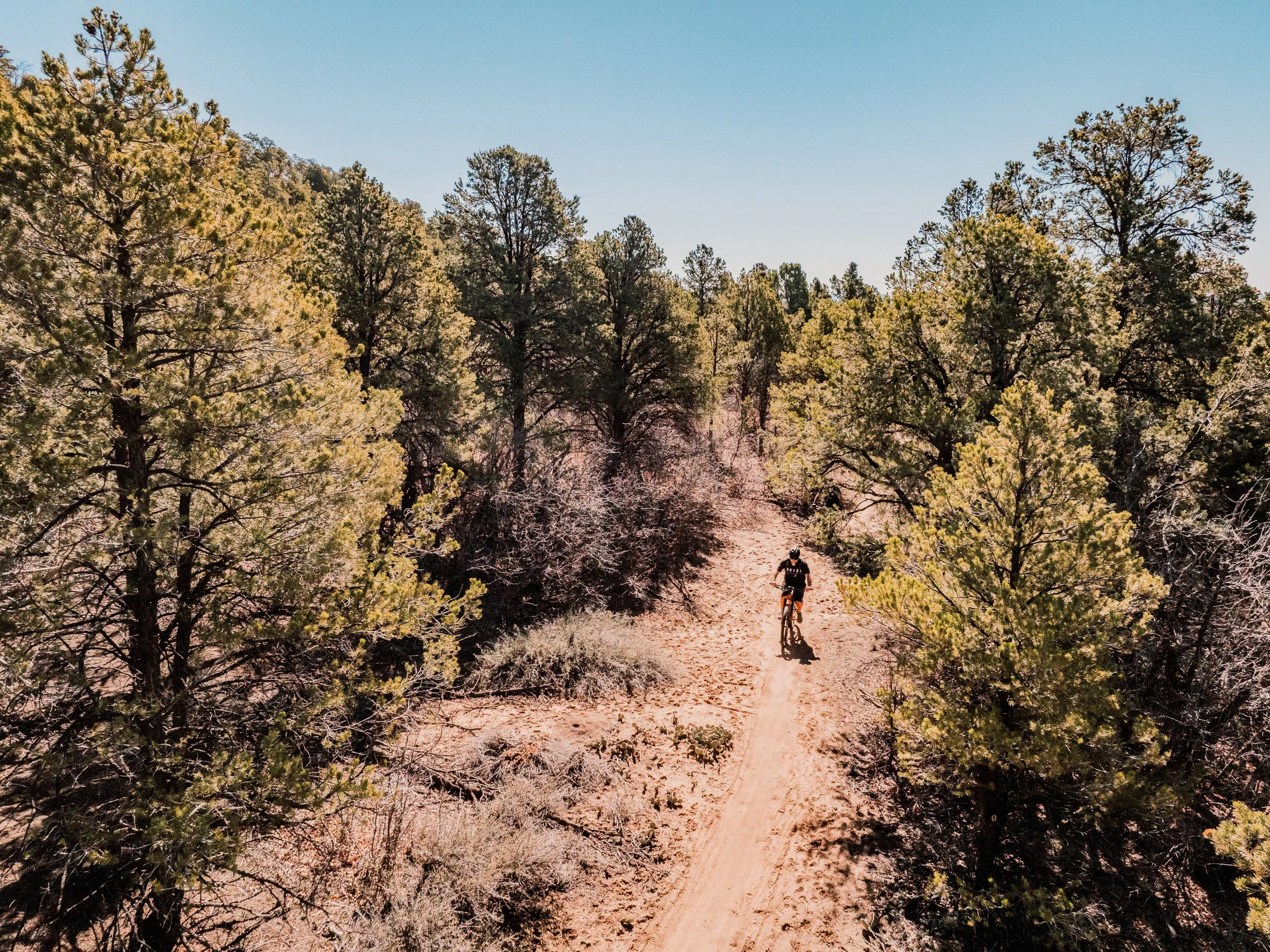Zion_Forever_Project_Drone_-53.jpg