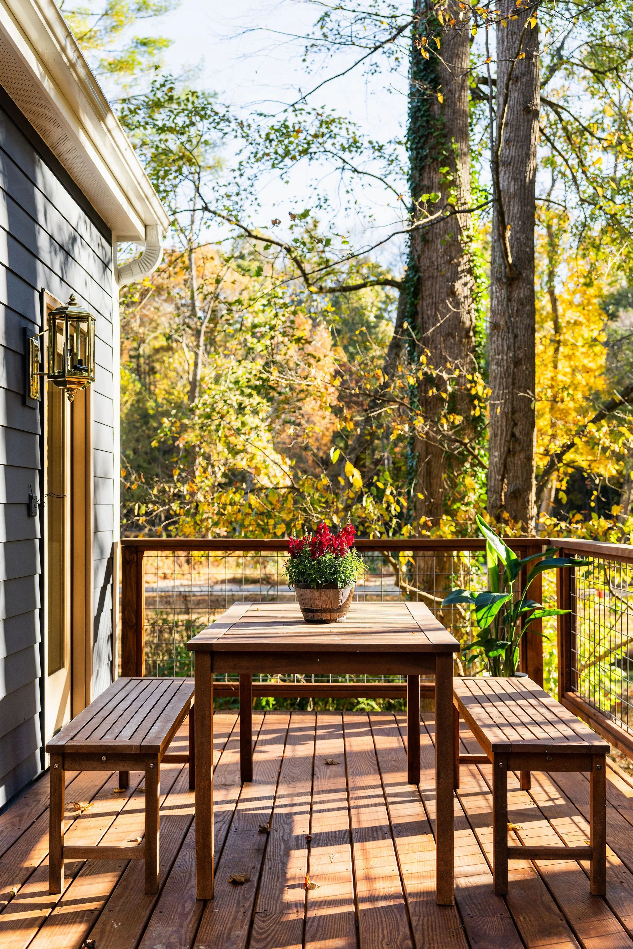 Asheville_10222025CT_13949.jpg
