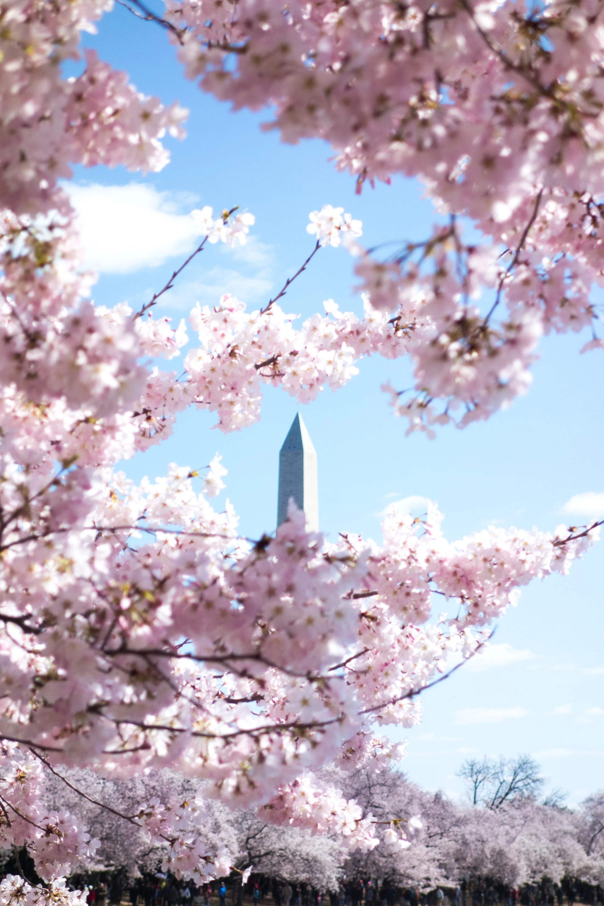 Oh, Hello March