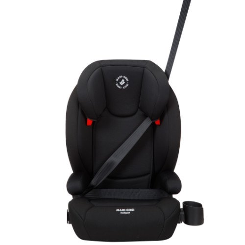 Car Seat or Booster Seat