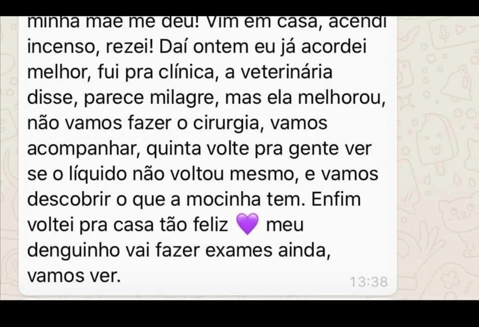 WhatsApp Image 2023-05-25 at 15.32.10 (5).jpeg