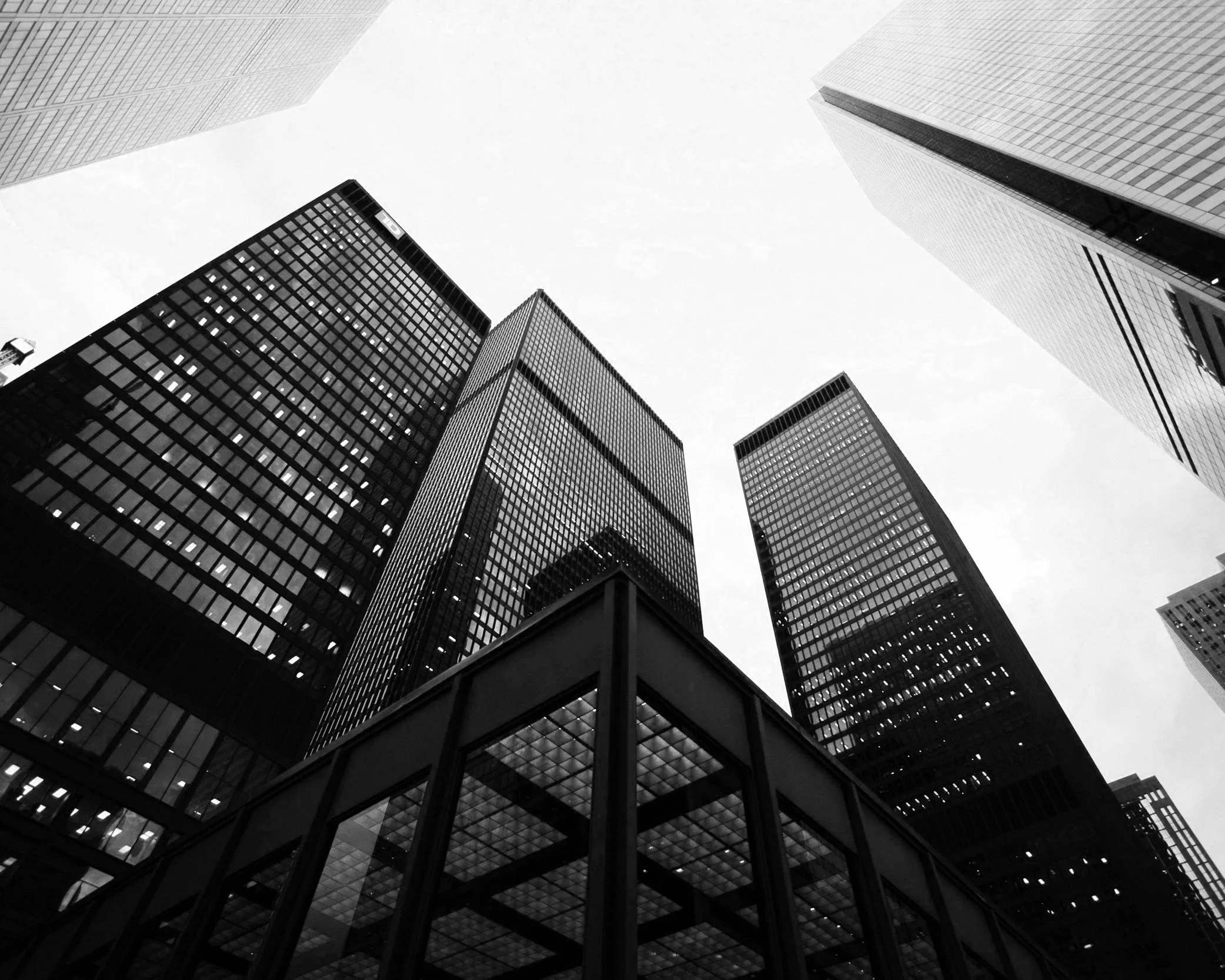 Strengths-Based Organizational Development